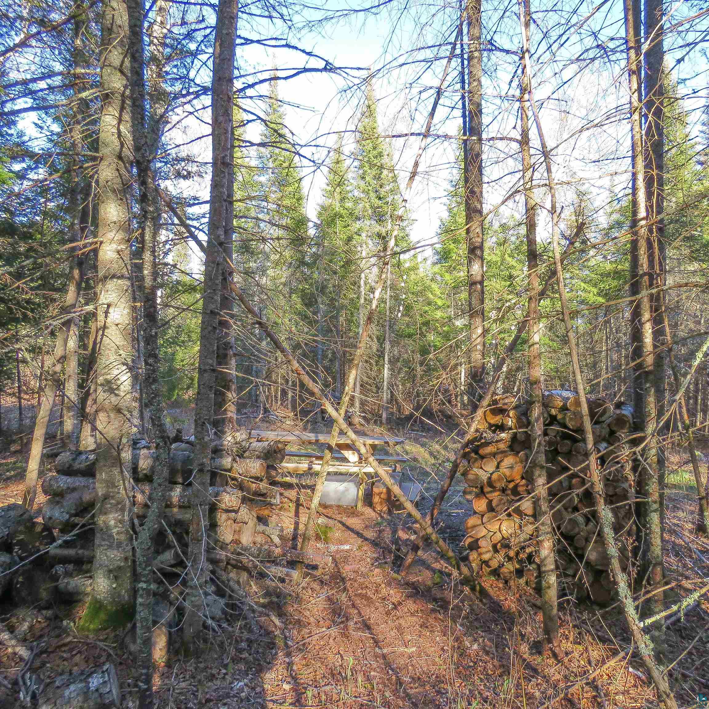 435 Cramer Rd, Schroeder, MN 55614 Listing Photo  25