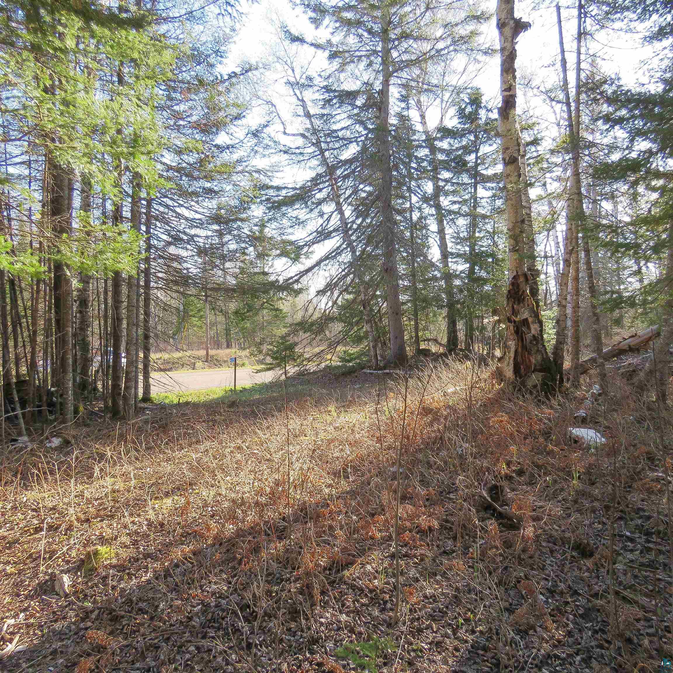 435 Cramer Rd, Schroeder, MN 55614 Listing Photo  28