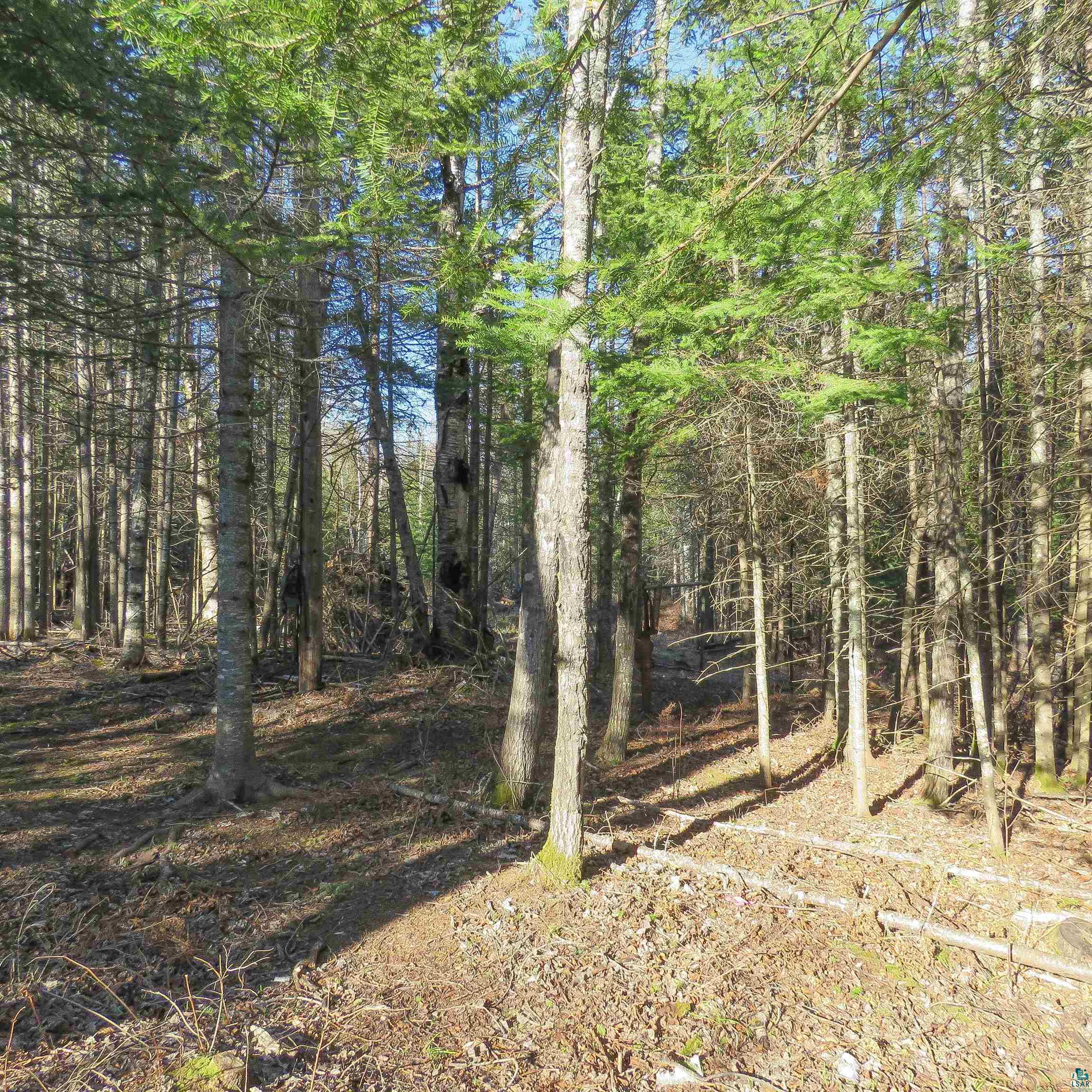 435 Cramer Rd, Schroeder, MN 55614 Listing Photo  30