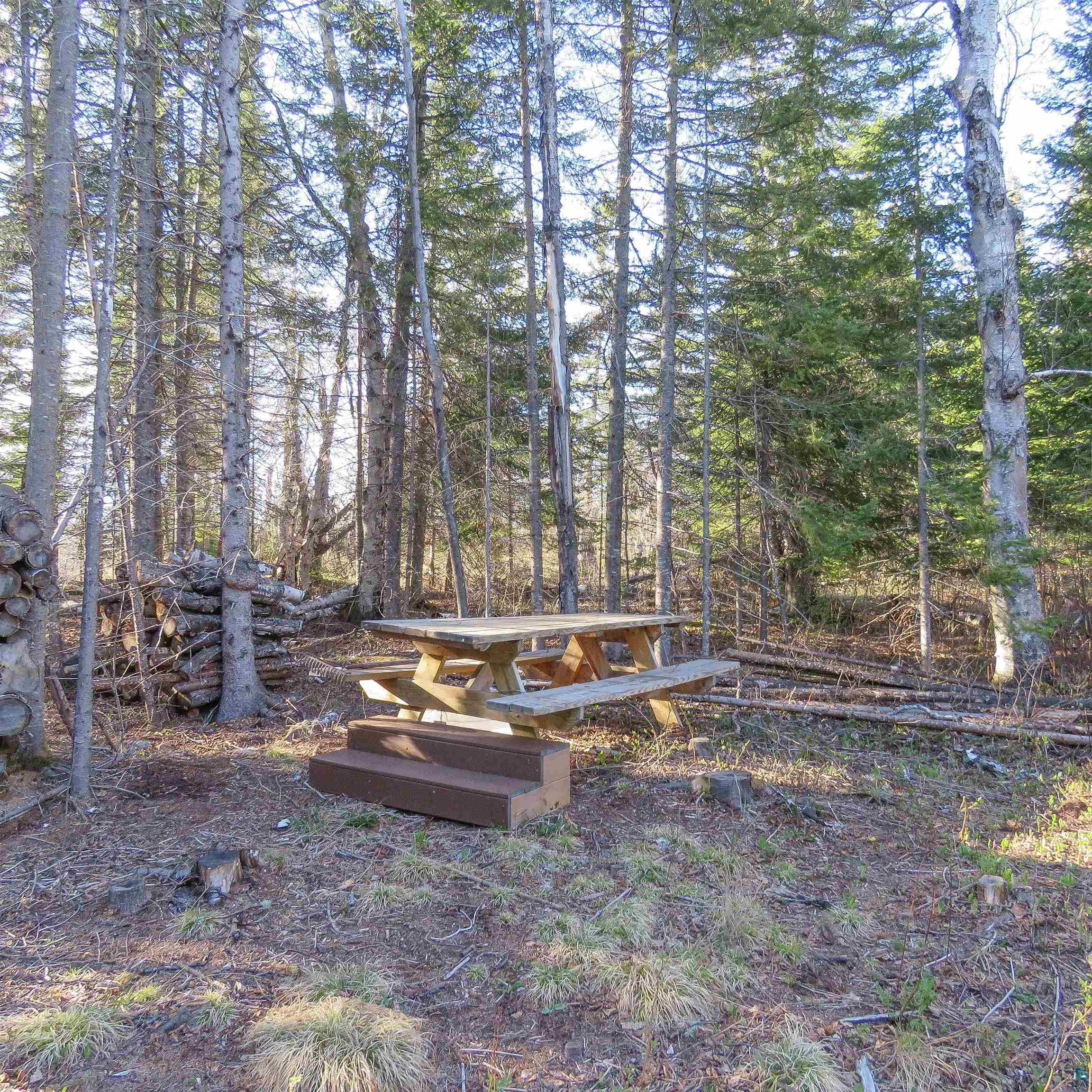 435 Cramer Rd, Schroeder, MN 55614 Listing Photo  4