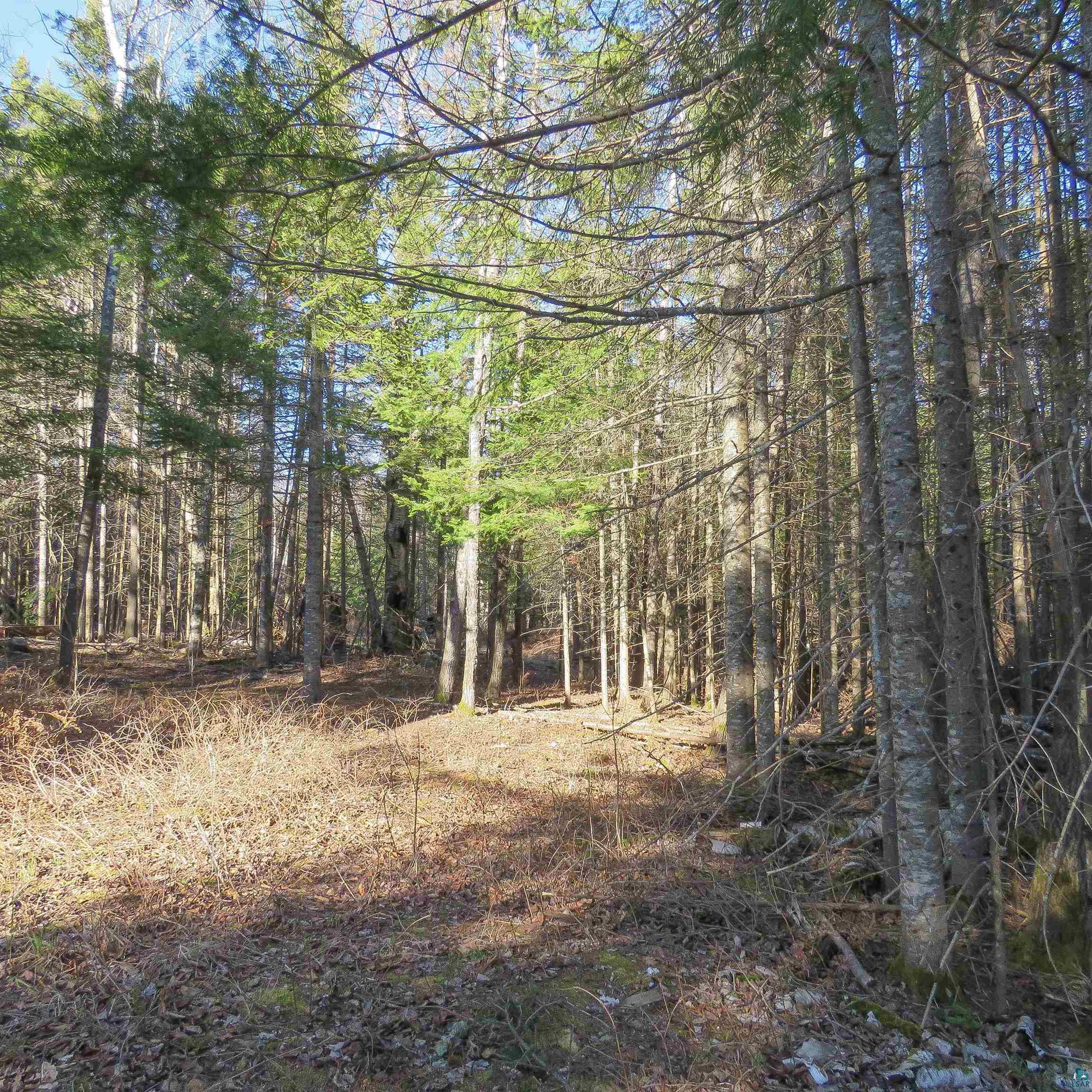 435 Cramer Rd, Schroeder, MN 55614 Listing Photo  31