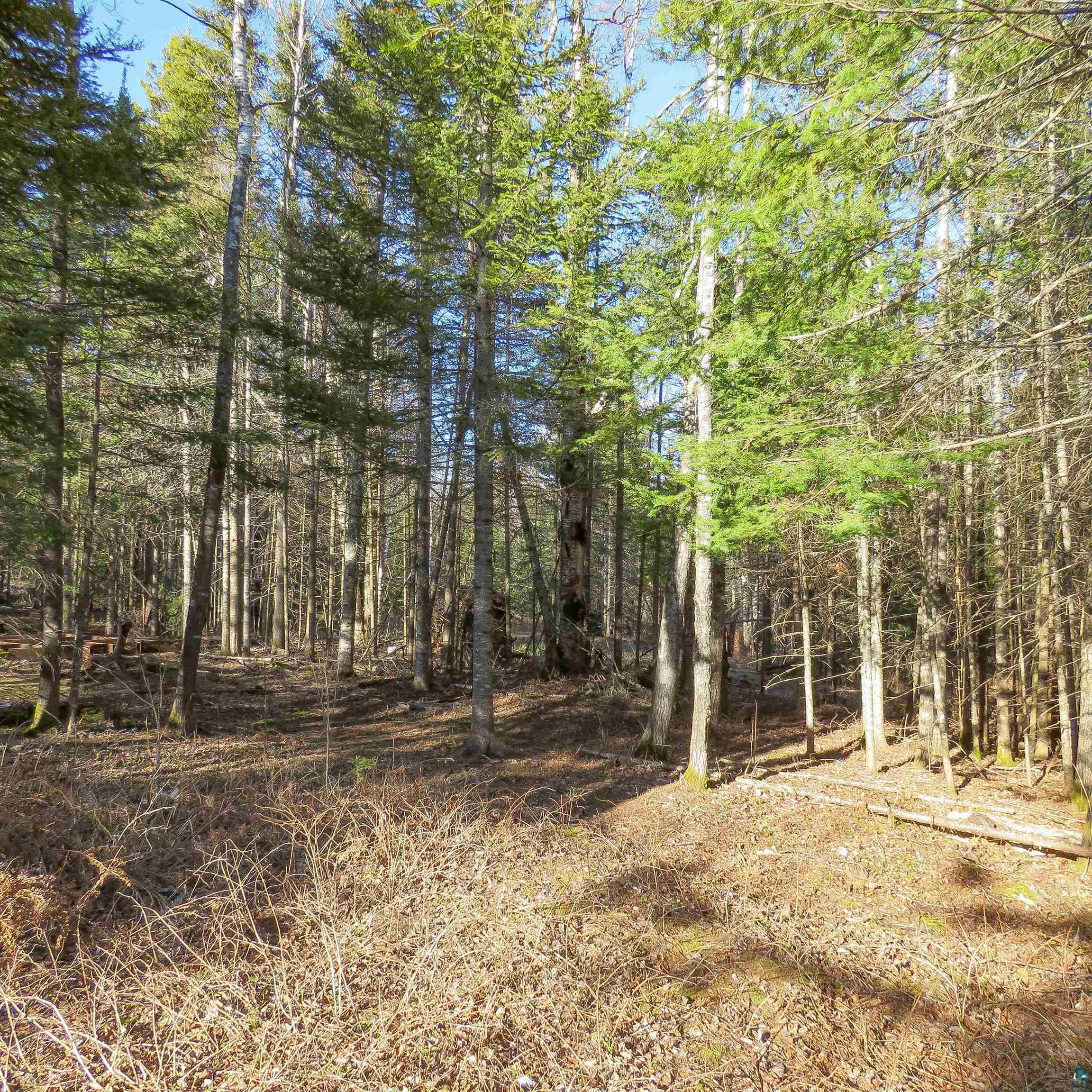 435 Cramer Rd, Schroeder, MN 55614 Listing Photo  37