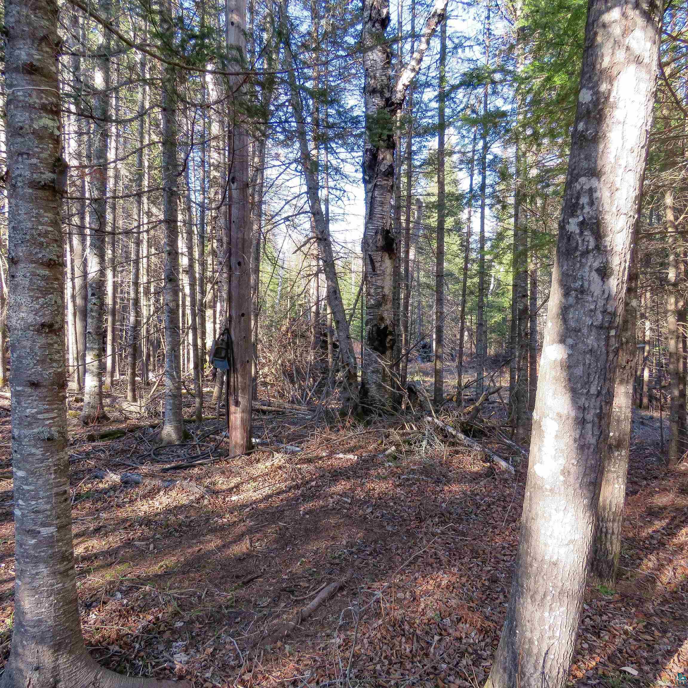 435 Cramer Rd, Schroeder, MN 55614 Listing Photo  38