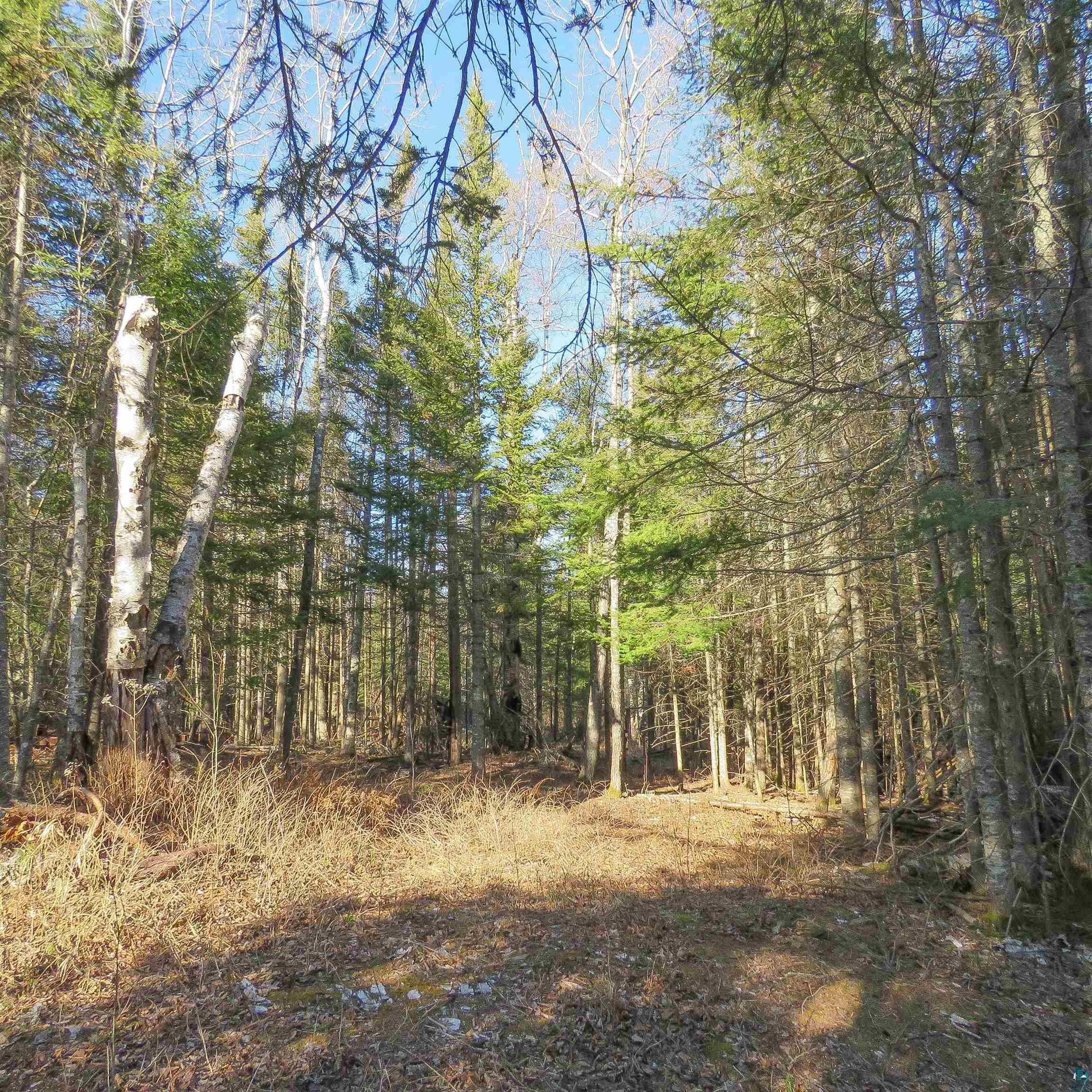 435 Cramer Rd, Schroeder, MN 55614 Listing Photo  39