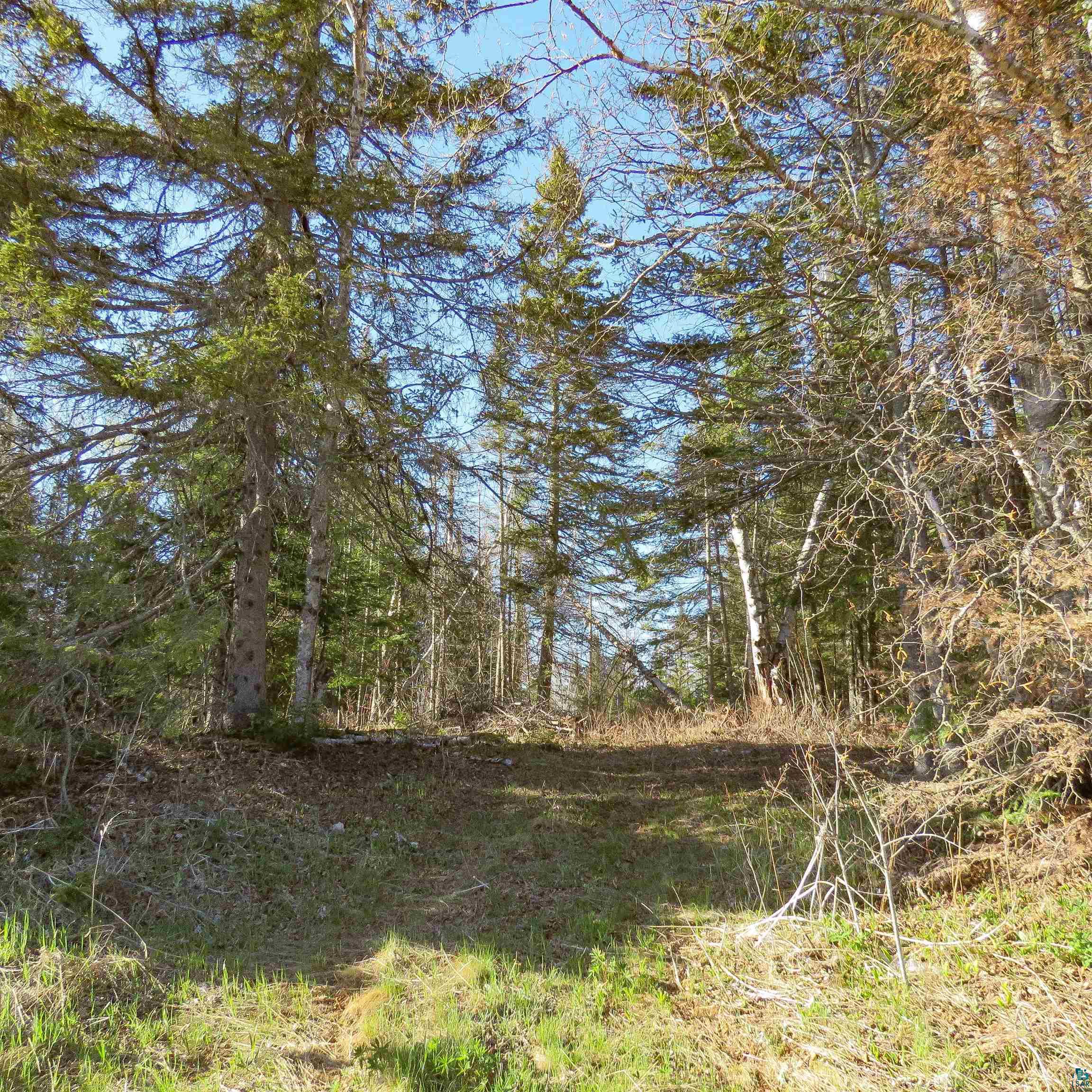 435 Cramer Rd, Schroeder, MN 55614 Listing Photo  9