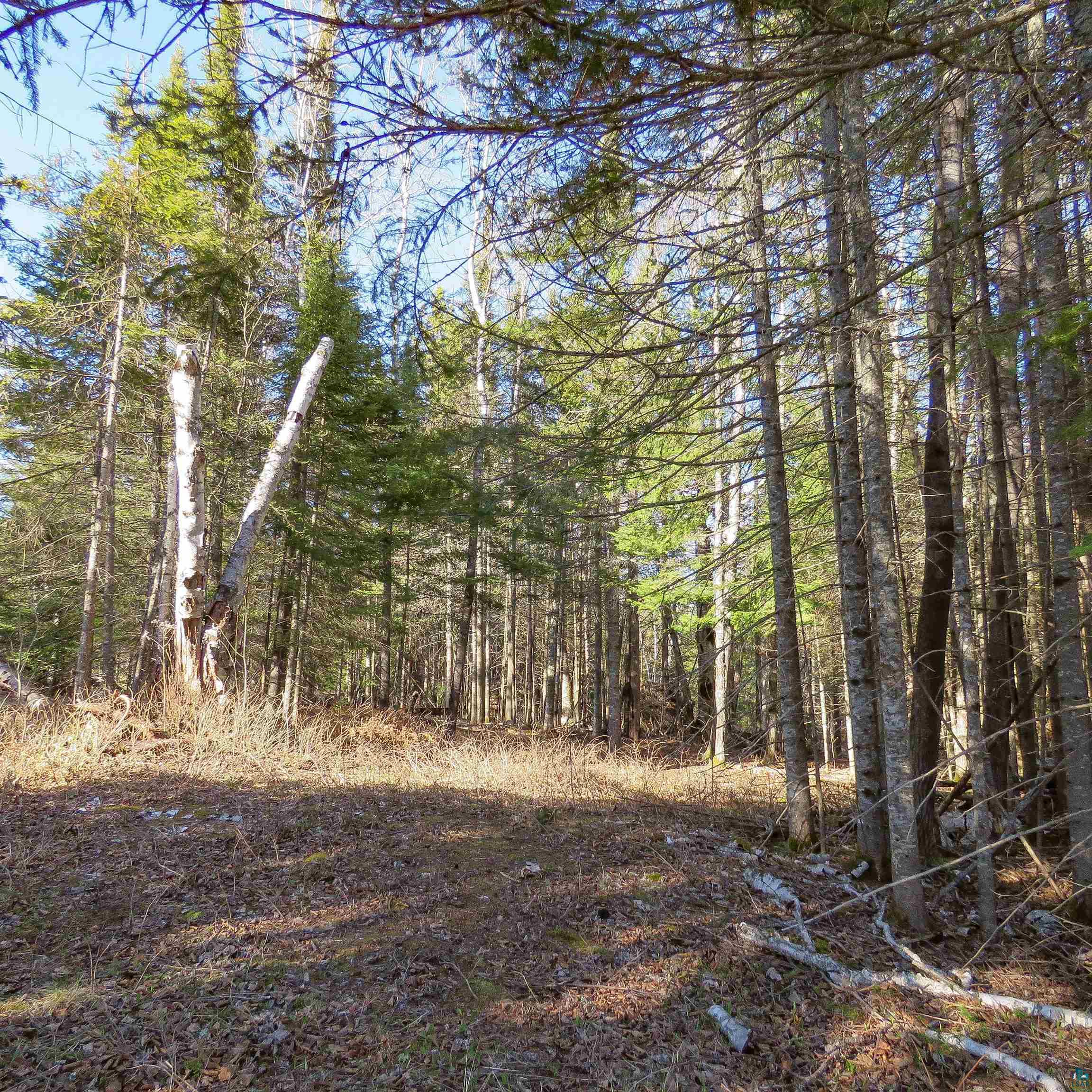 435 Cramer Rd, Schroeder, MN 55614 Listing Photo  10