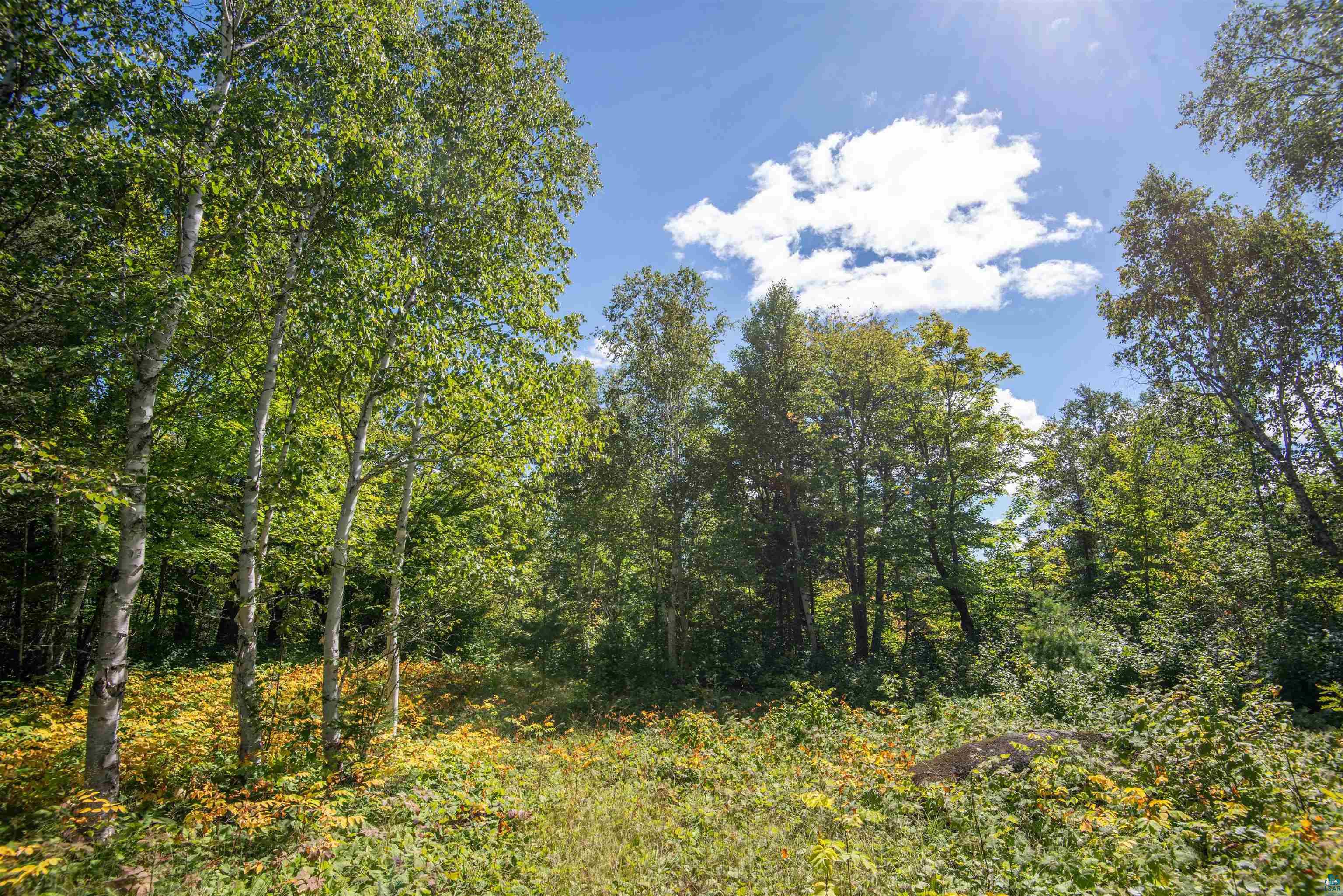 1808 Tom Lake Rd, Hovland, MN 55606 Listing Photo  28