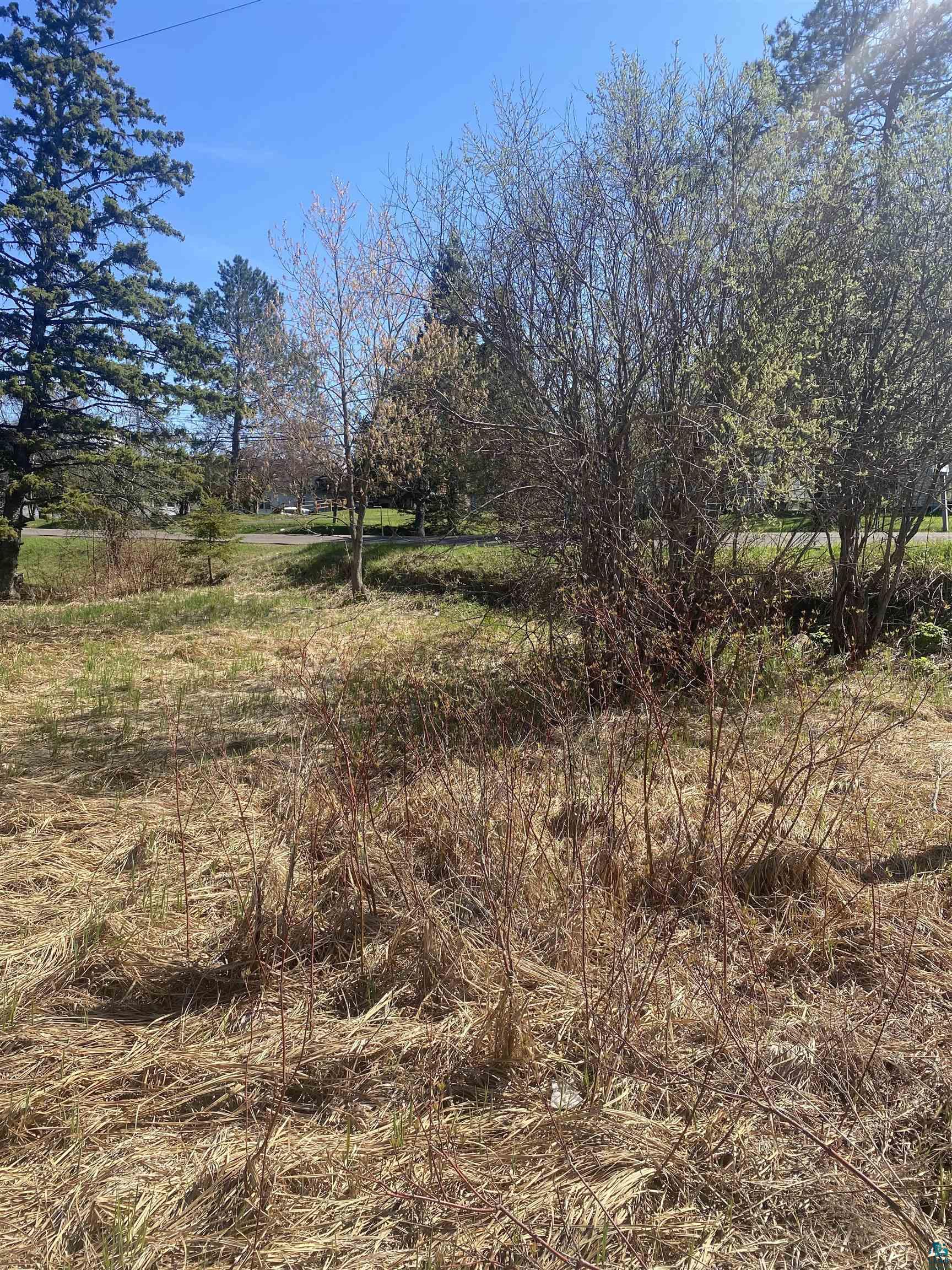 28XX Hutchinson Rd, Duluth, MN 55811 Listing Photo  3