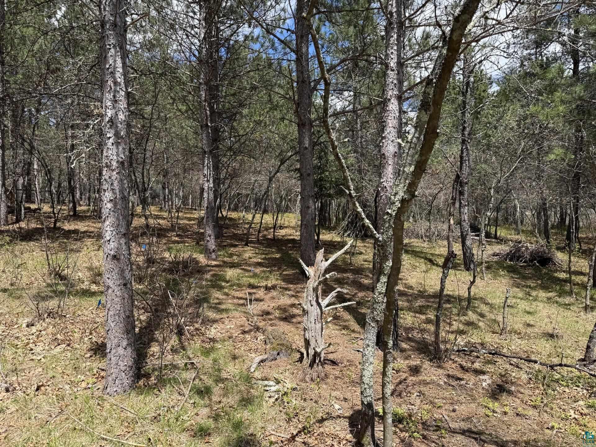 9944 E Eagles Nest Rd, Gordon, WI 54838 Listing Photo  3