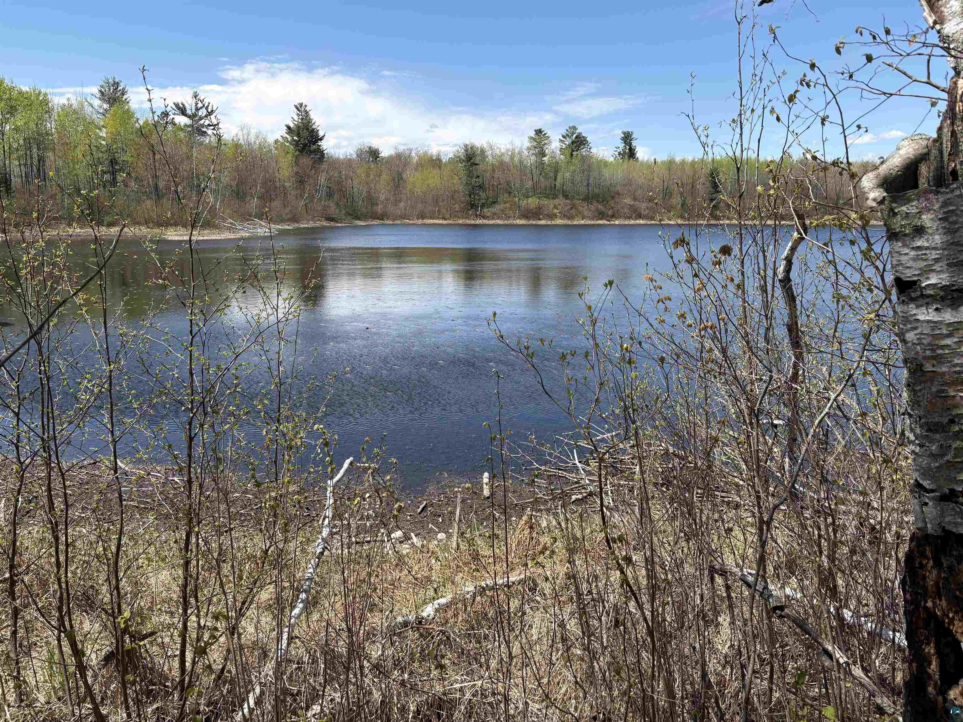 854x W Chub Lake Rd, Carlton, MN 55718 Listing Photo  1