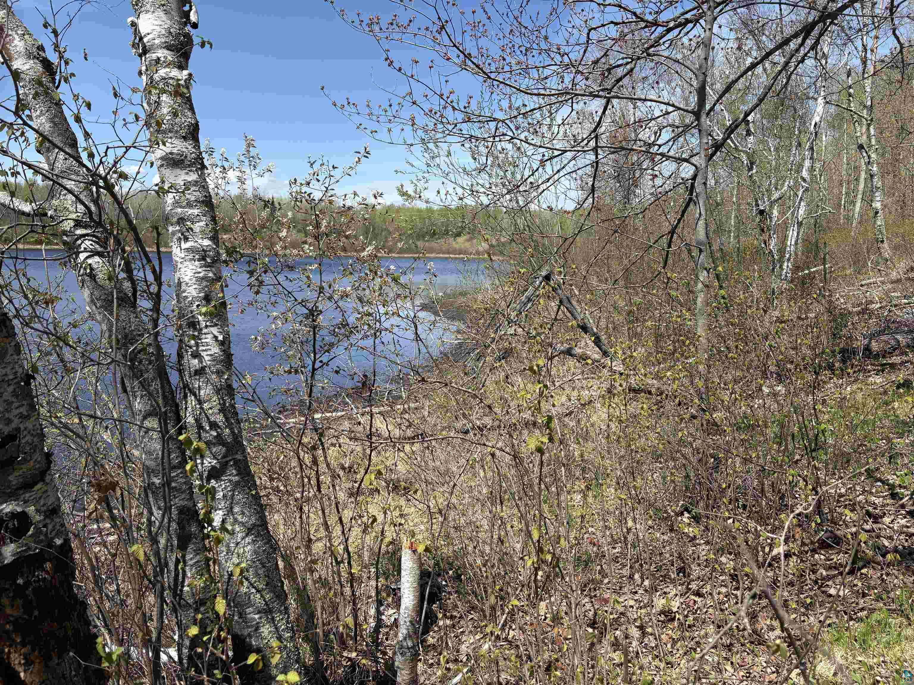 854x W Chub Lake Rd, Carlton, MN 55718 Listing Photo  2