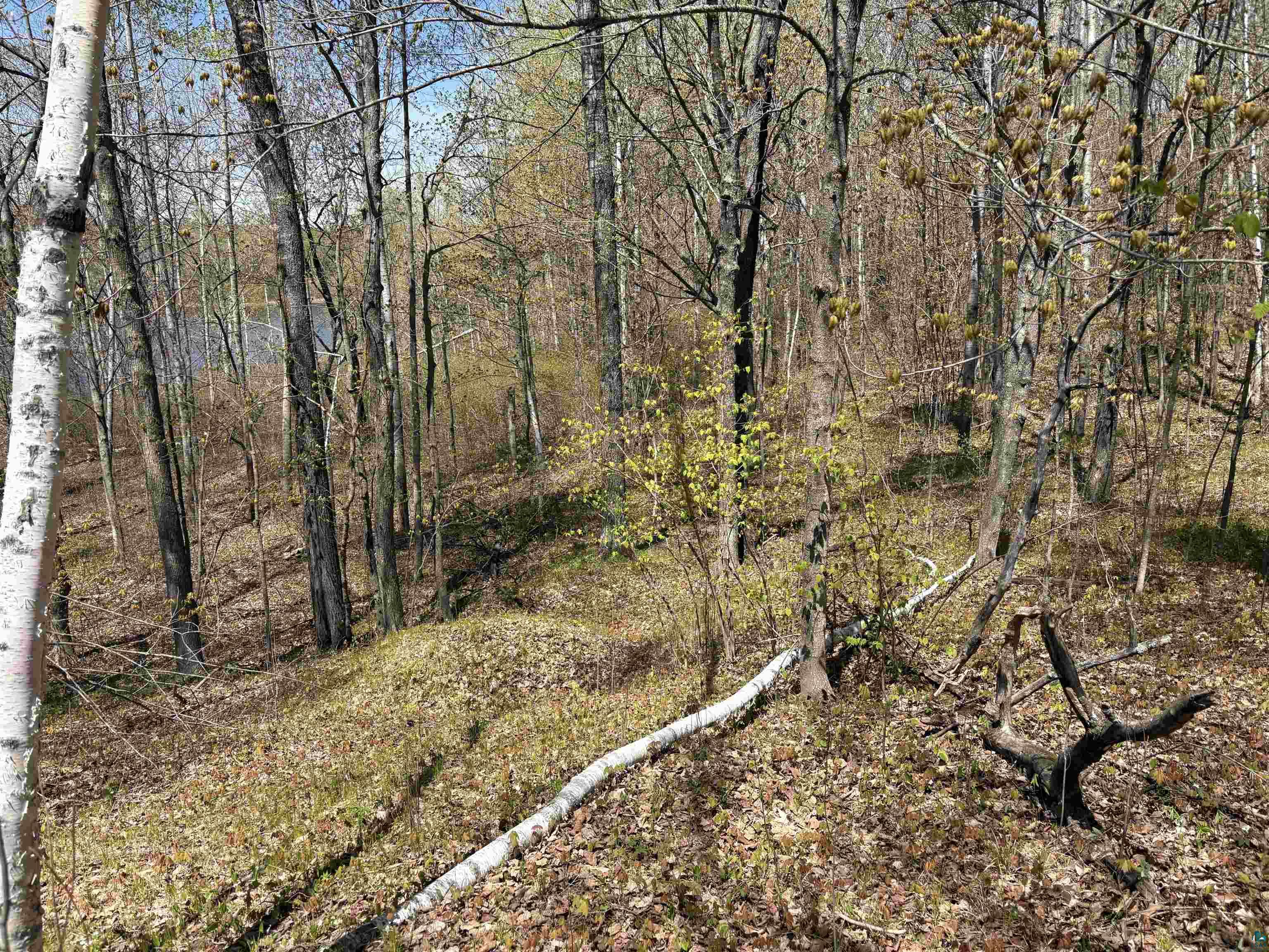 854x W Chub Lake Rd, Carlton, MN 55718 Listing Photo  3
