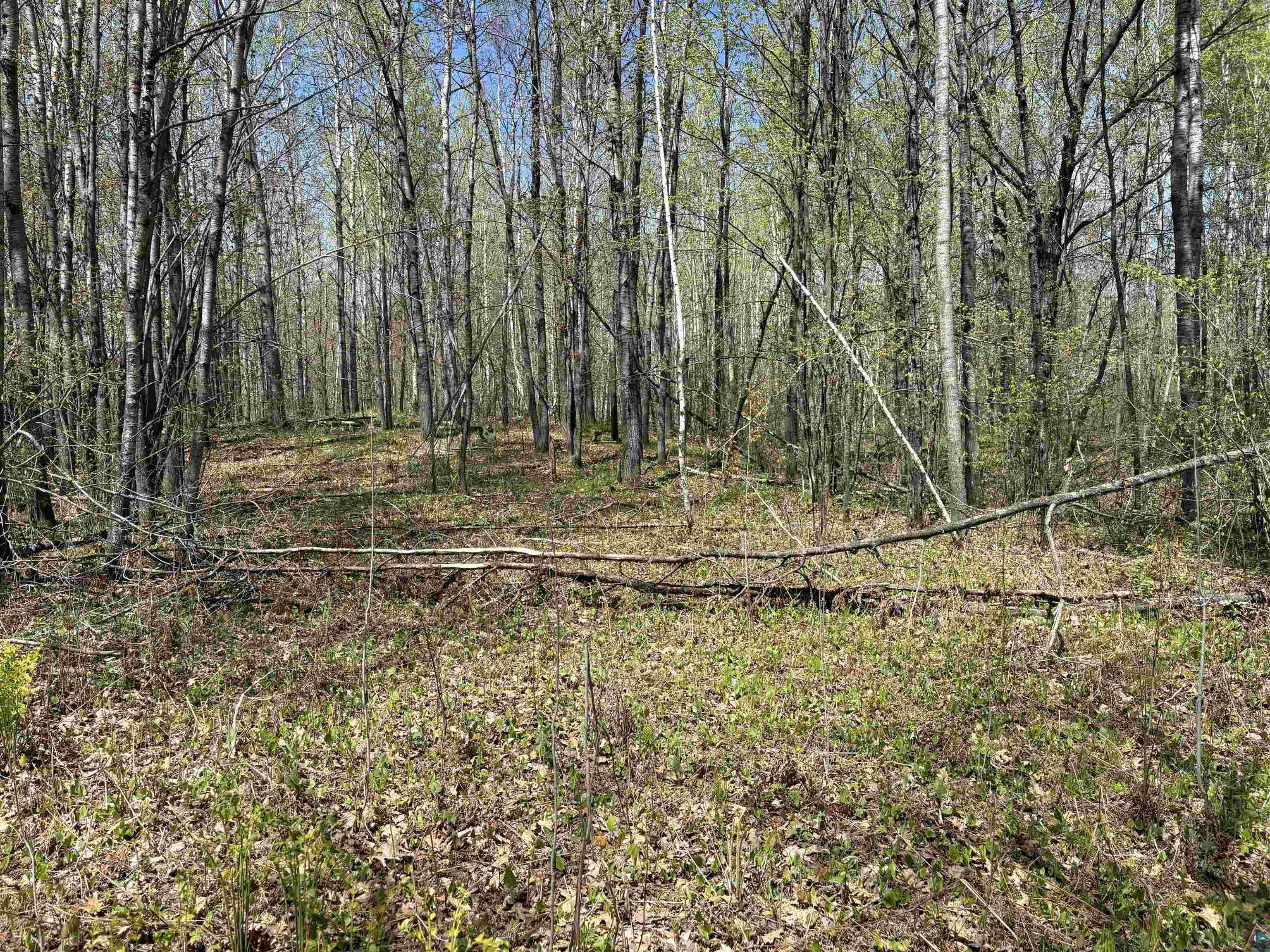 854x W Chub Lake Rd, Carlton, MN 55718 Listing Photo  6