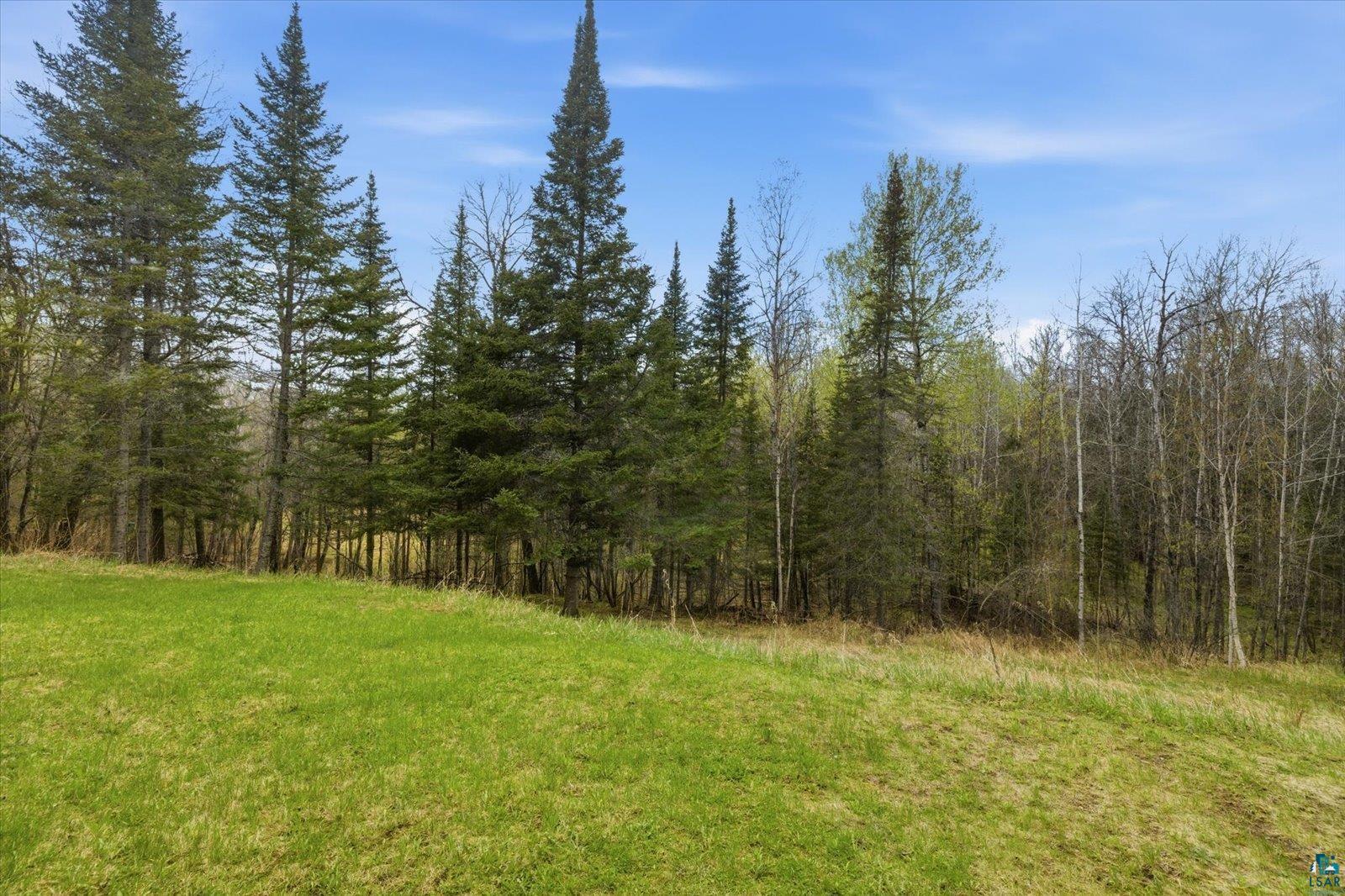 10454 Hwy 92, Hibbing, MN 55746 Listing Photo  53