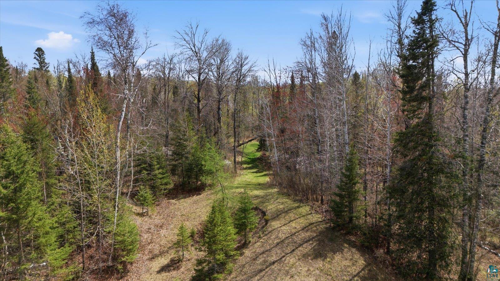 10454 Hwy 92, Hibbing, MN 55746 Listing Photo  59