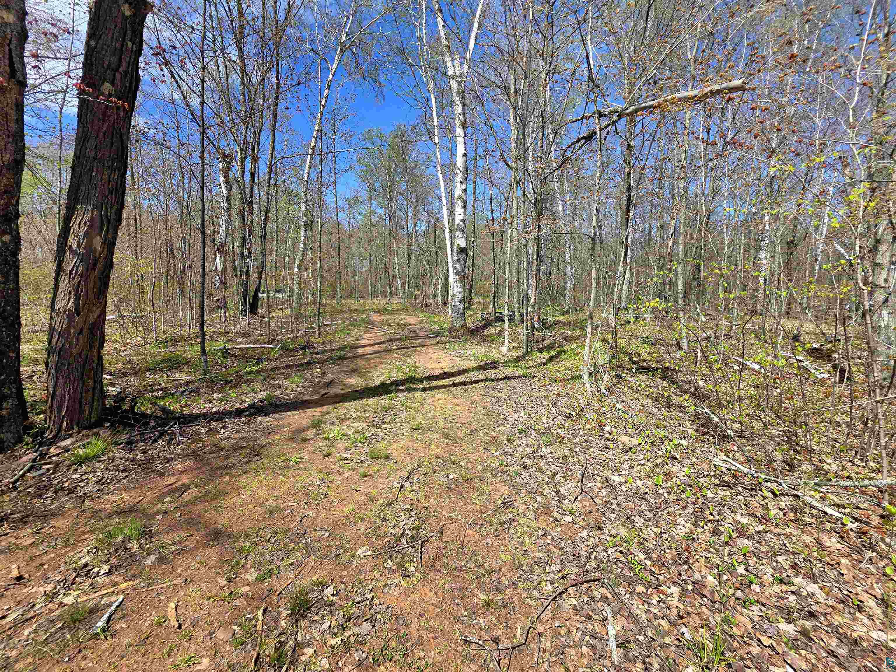 1989 North Shore Rd, LaPointe, WI 54850 Listing Photo  7
