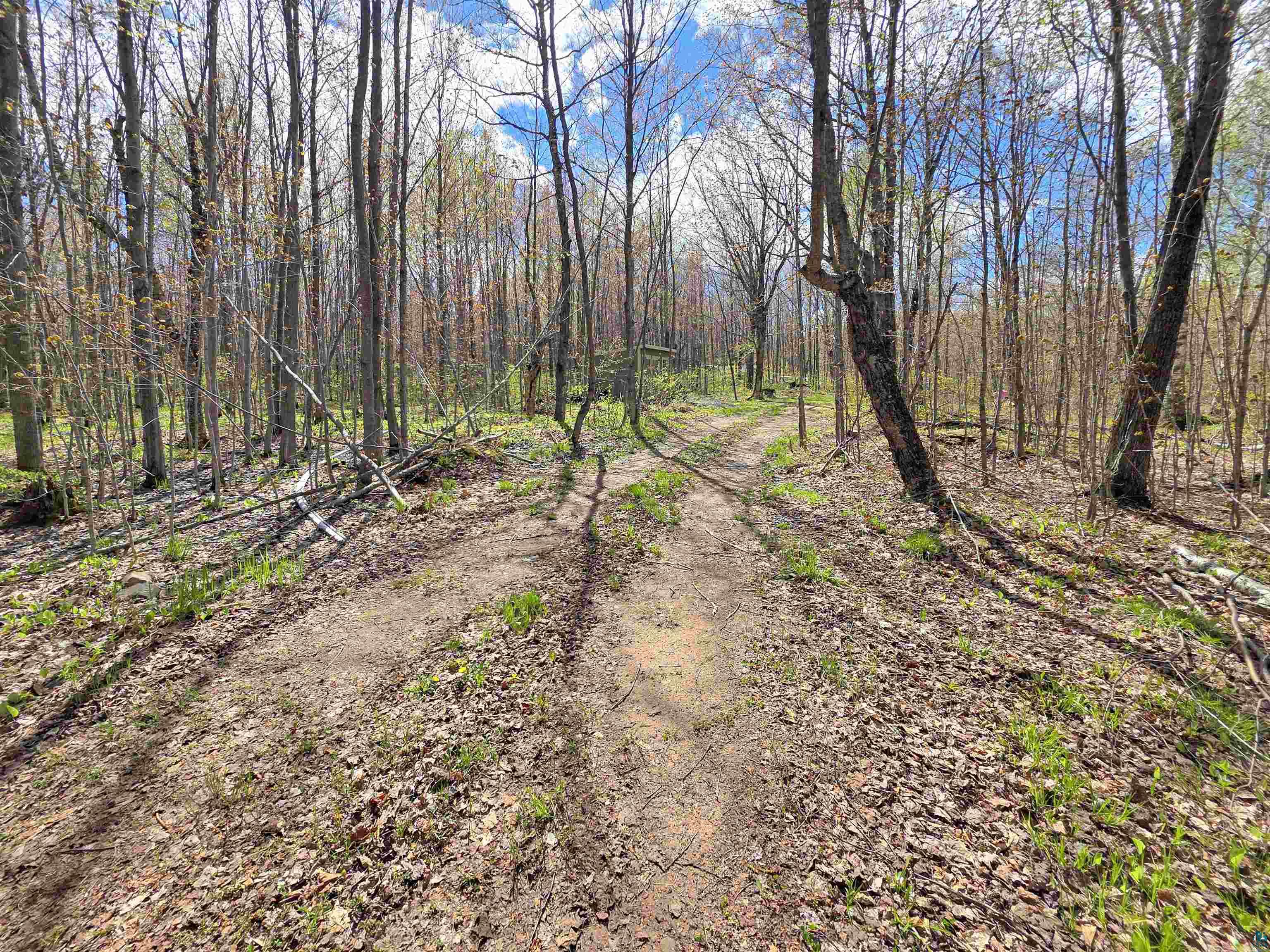 1989 North Shore Rd, LaPointe, WI 54850 Listing Photo  10