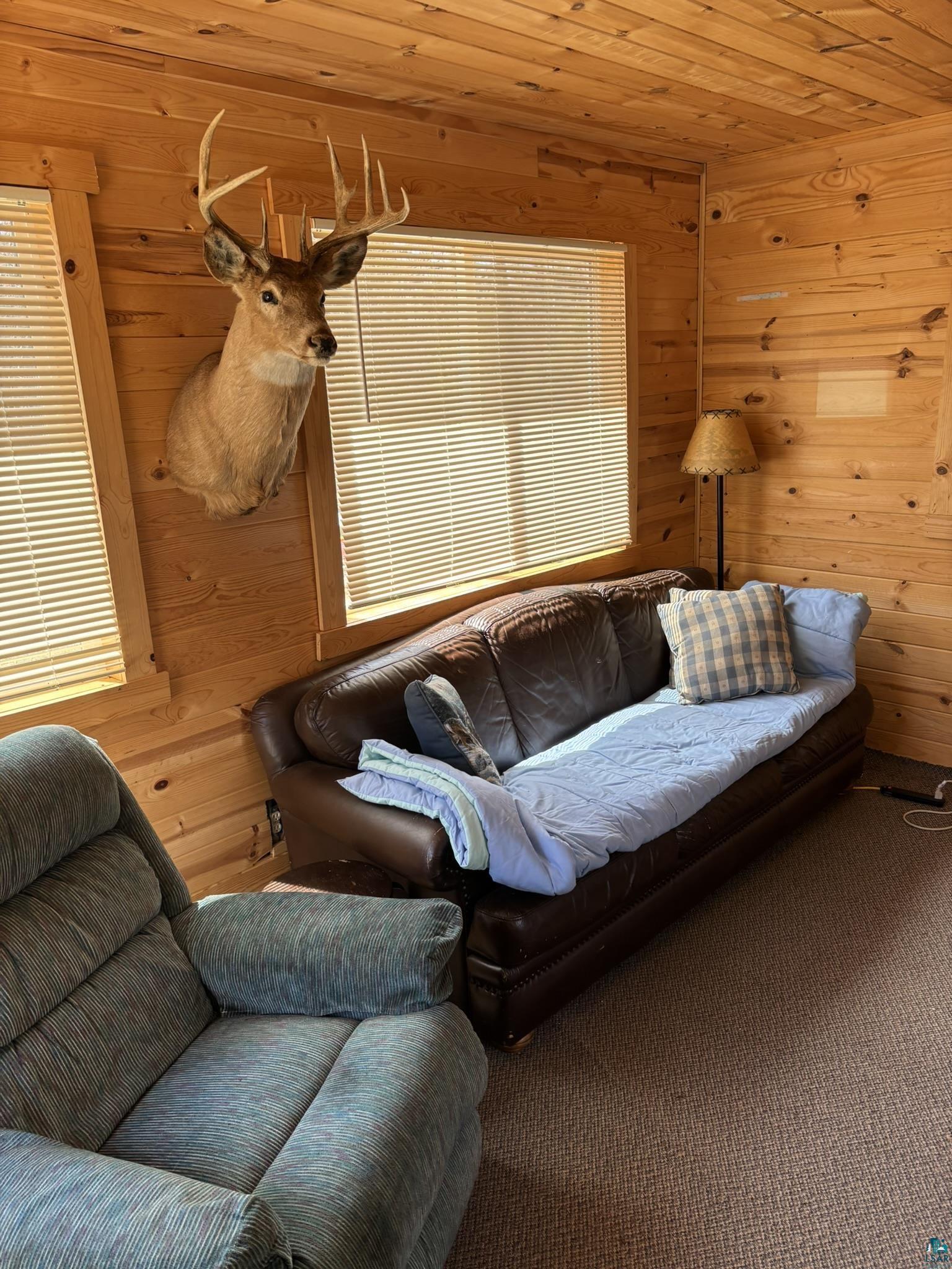 XX Blueberry Hill Rd, Two Harbors, MN 55616 Listing Photo  16
