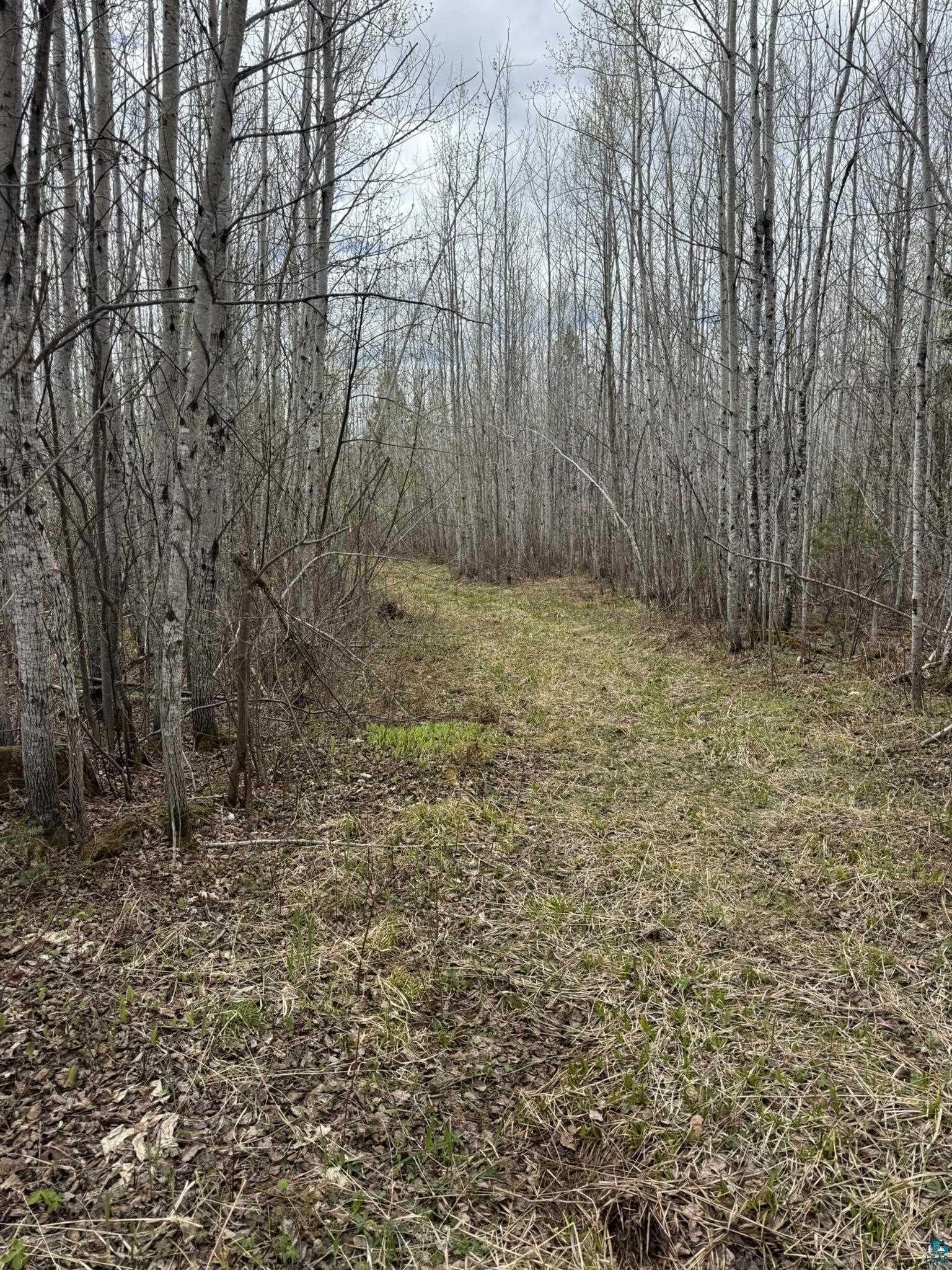 XX Blueberry Hill Rd, Two Harbors, MN 55616 Listing Photo  29