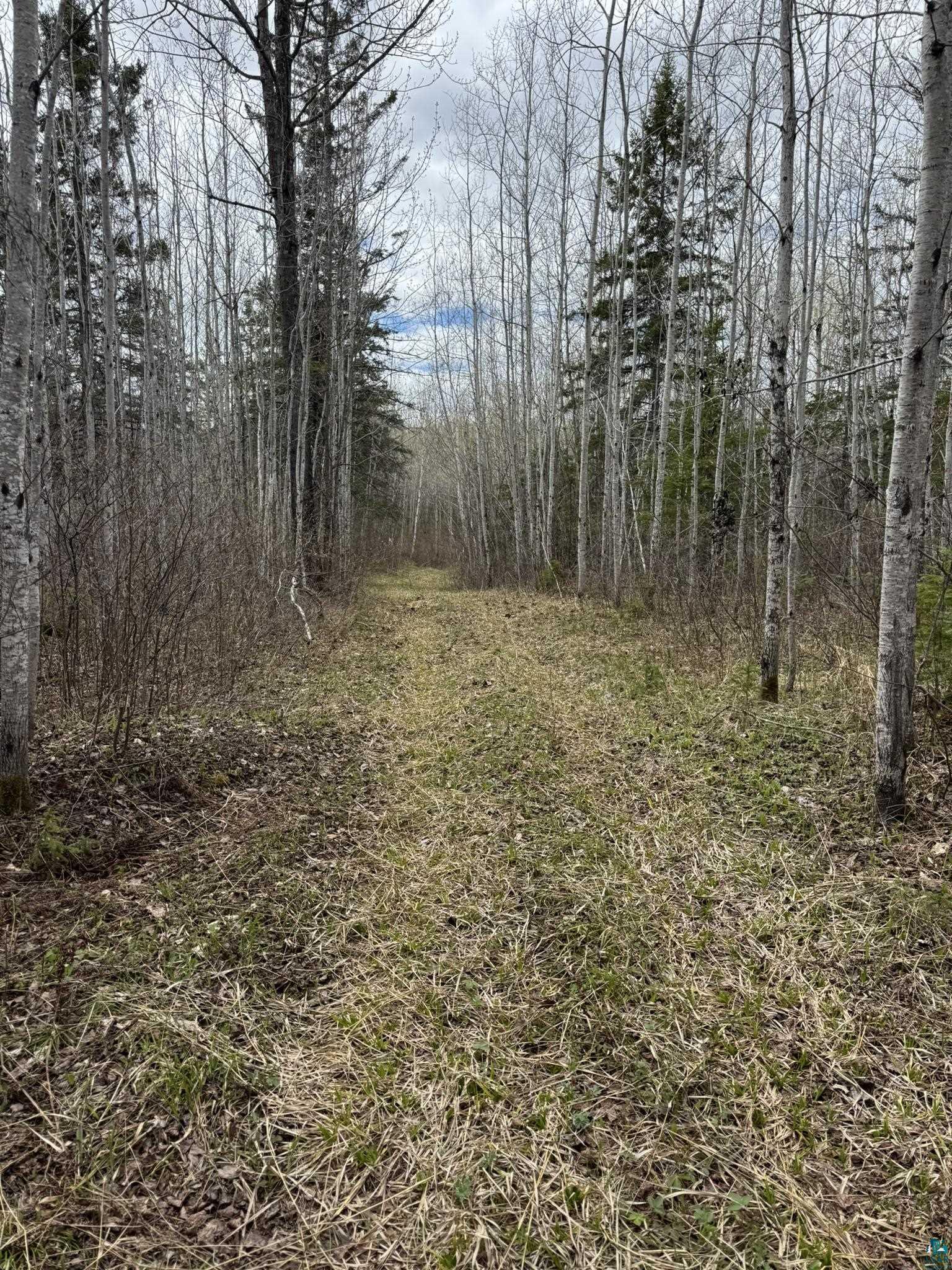 XX Blueberry Hill Rd, Two Harbors, MN 55616 Listing Photo  32
