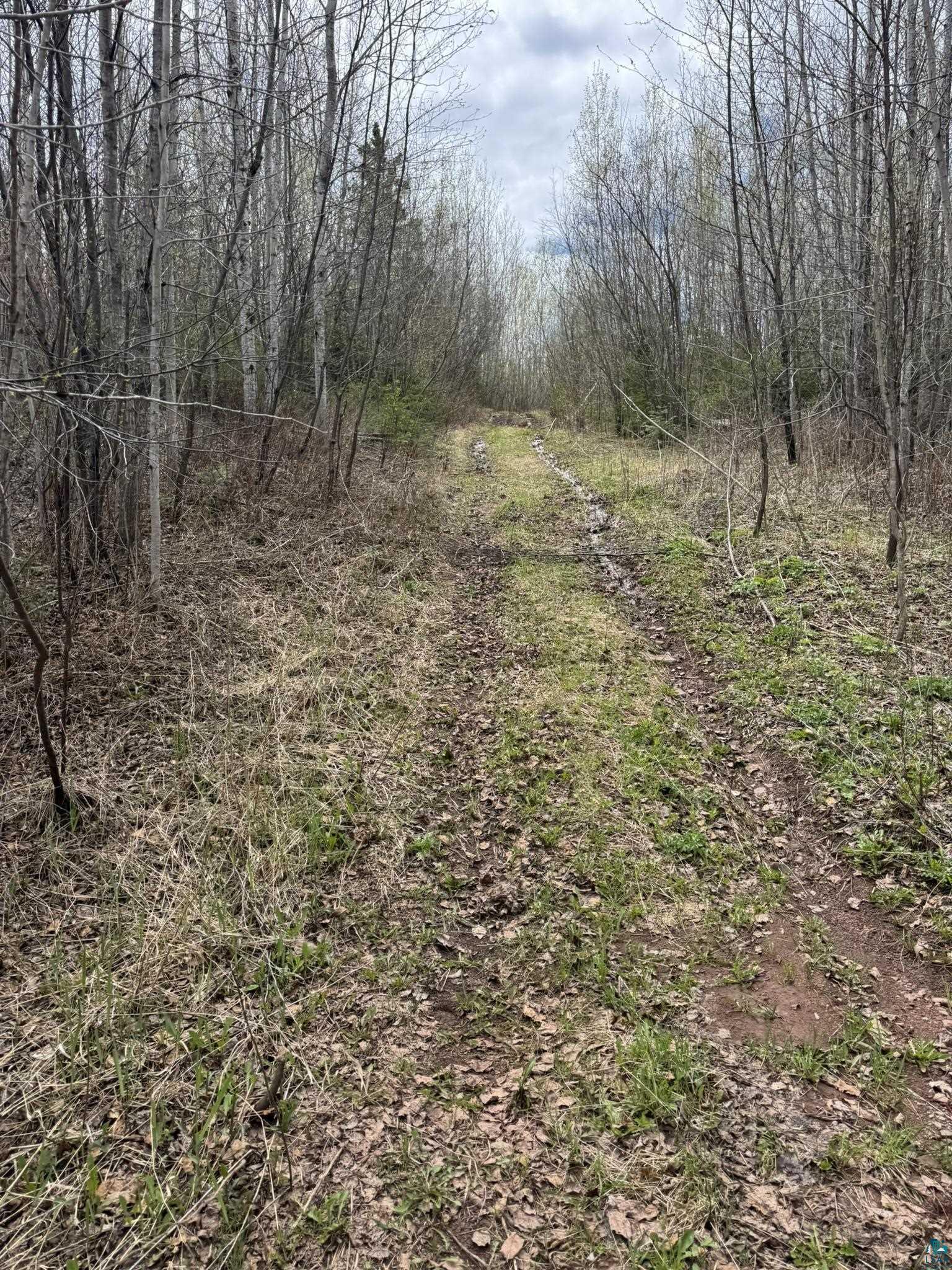 XX Blueberry Hill Rd, Two Harbors, MN 55616 Listing Photo  33