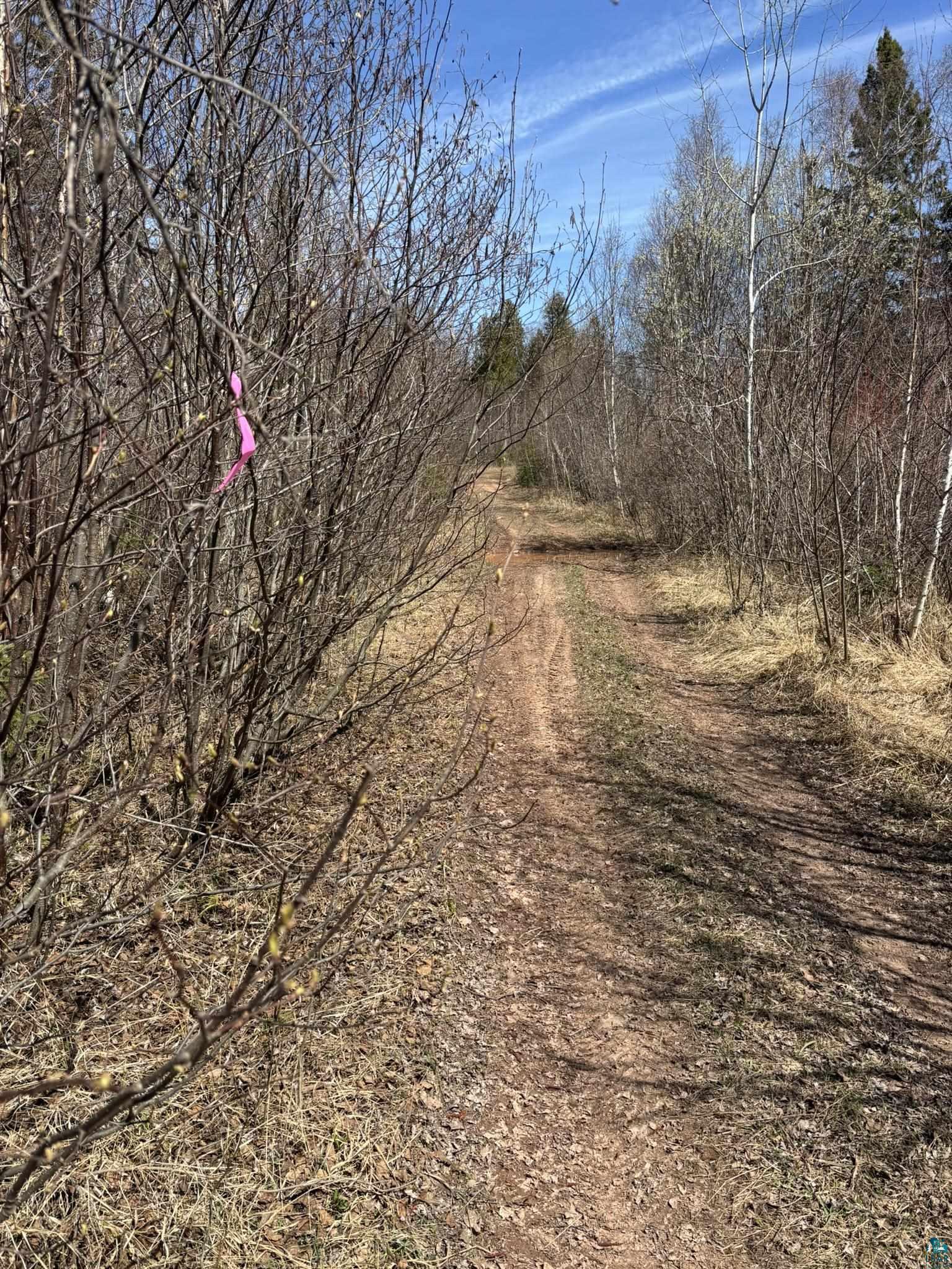 XX Blueberry Hill Rd, Two Harbors, MN 55616 Listing Photo  37
