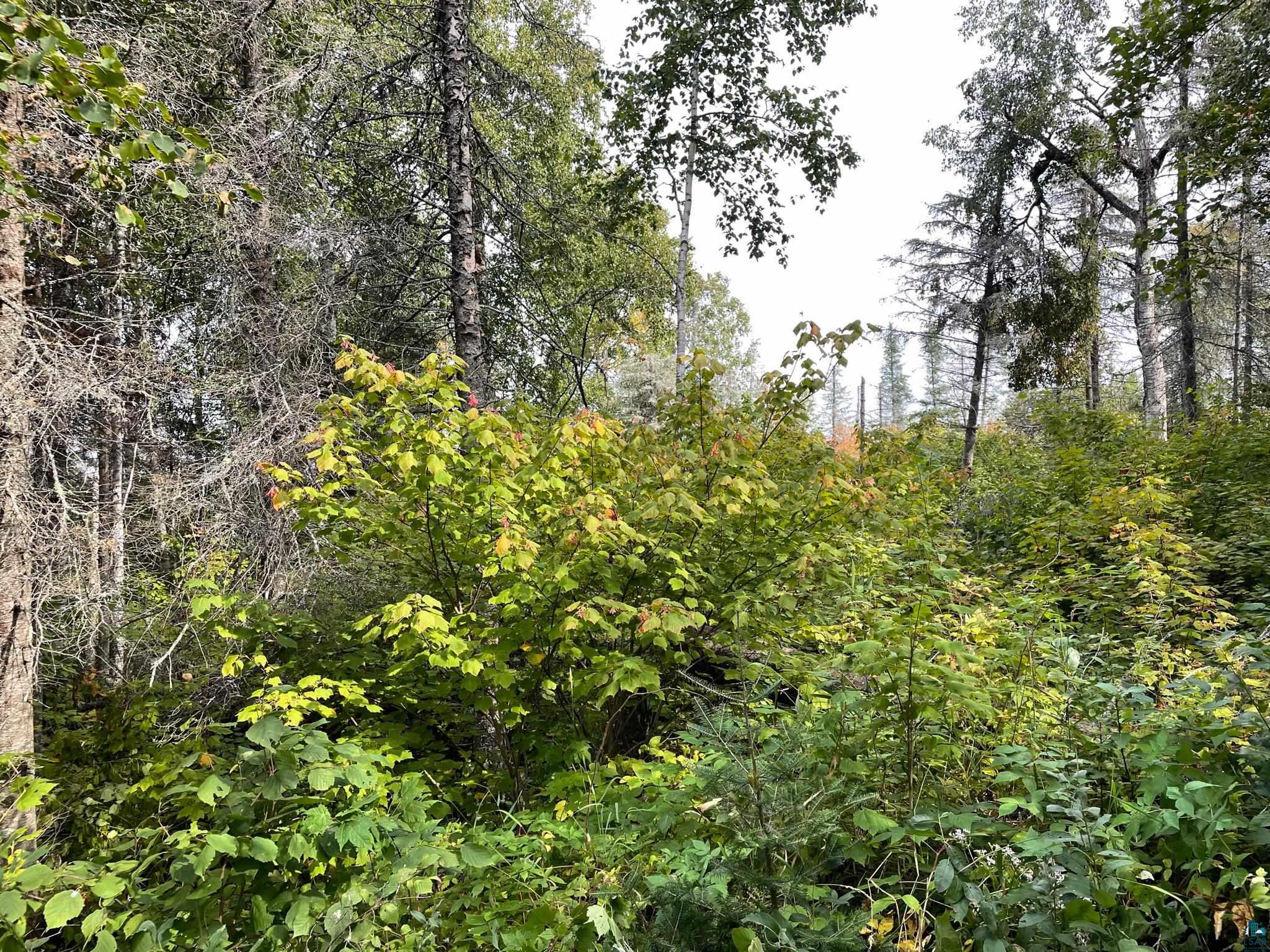 9519 CCC Tr, Isabella, MN 55607 Listing Photo  23