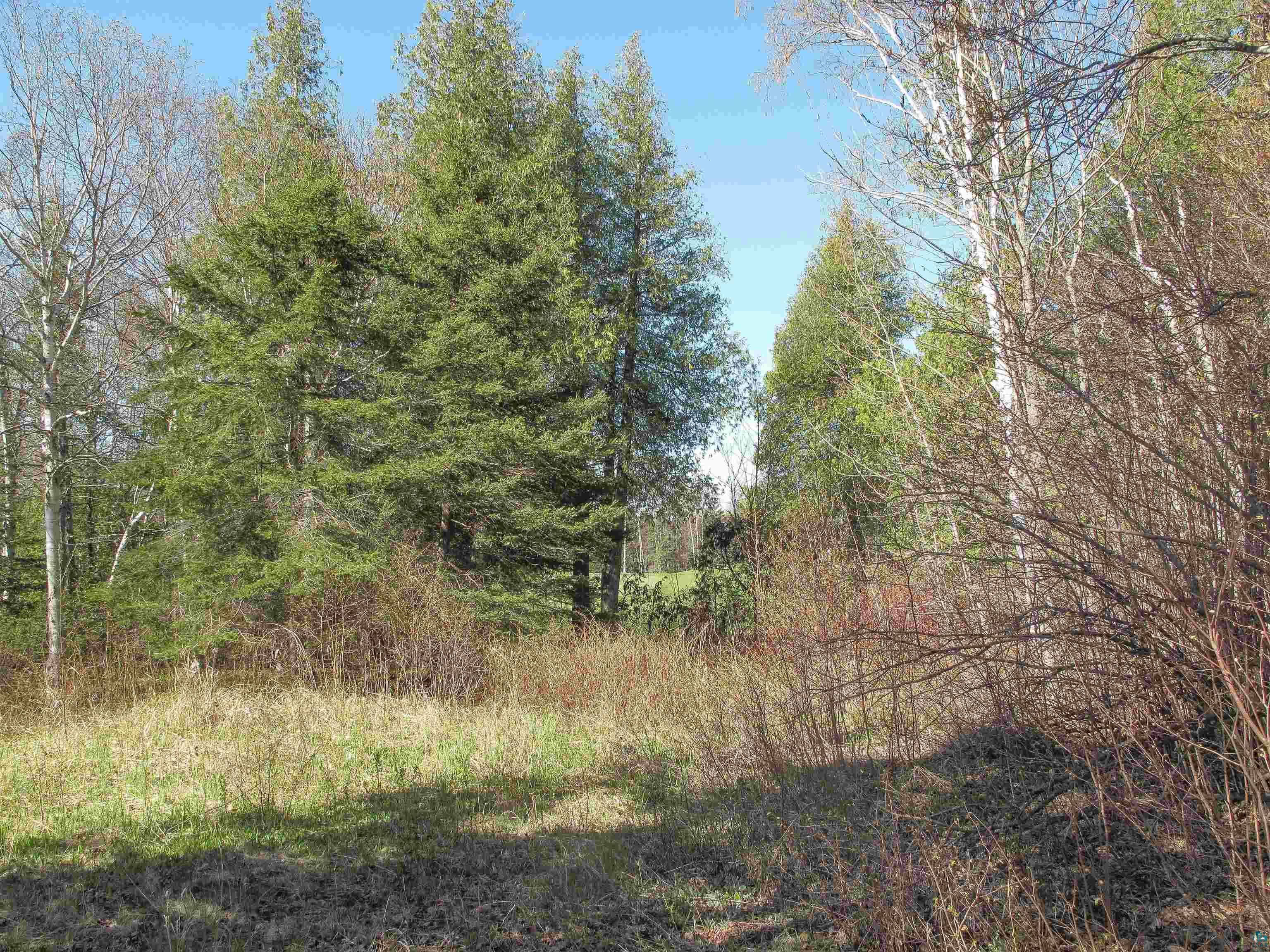 YYY Big Cedar Trl, Lutsen, MN 55612 Listing Photo  1
