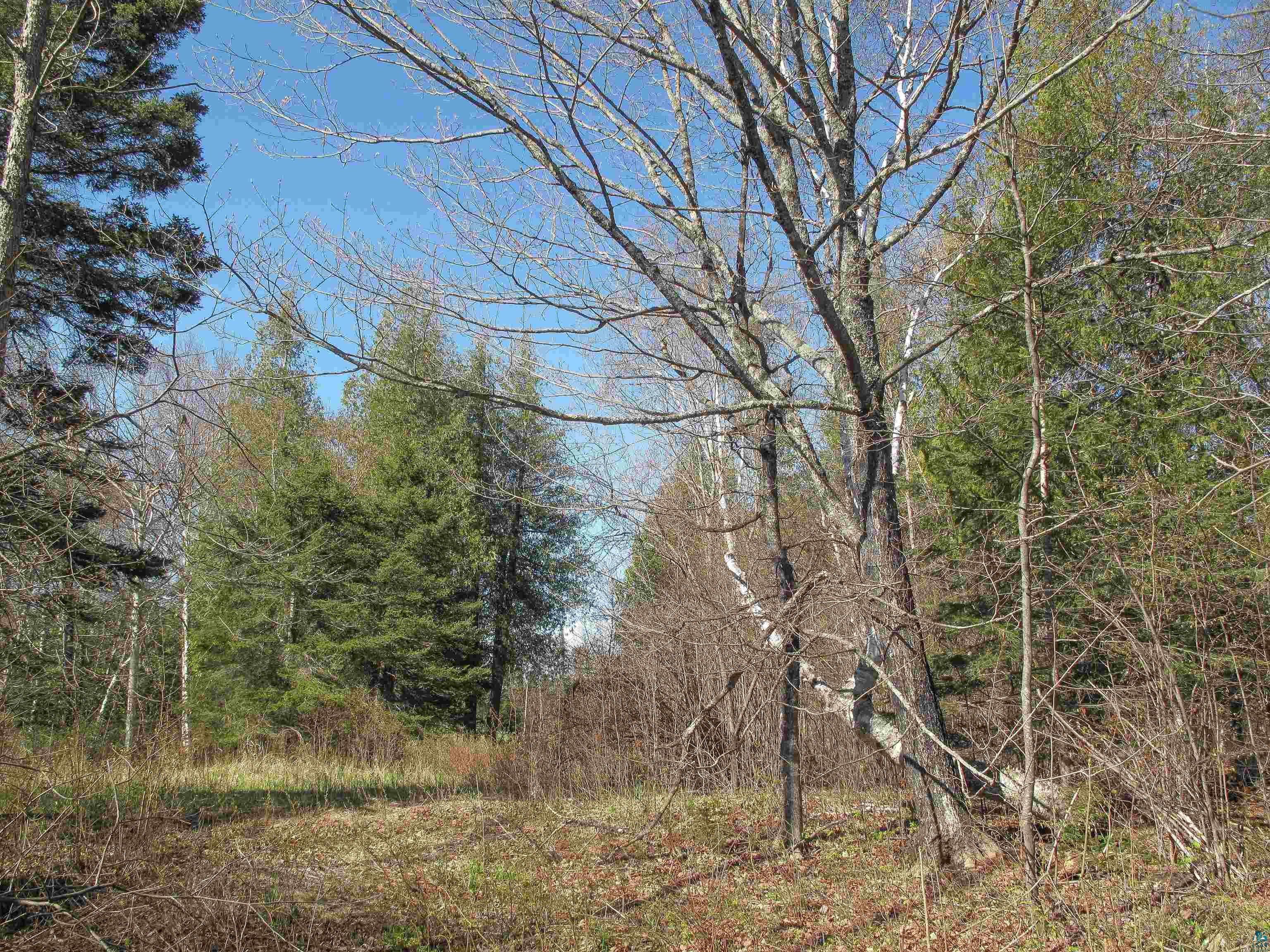 YYY Big Cedar Trl, Lutsen, MN 55612 Listing Photo  2