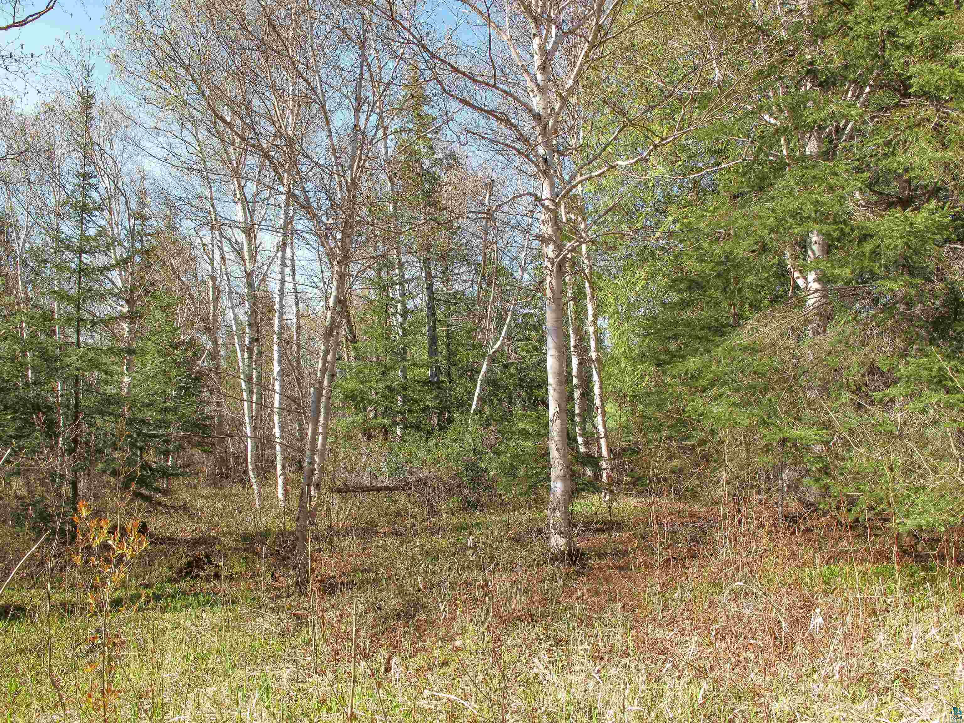 YYY Big Cedar Trl, Lutsen, MN 55612 Listing Photo  11
