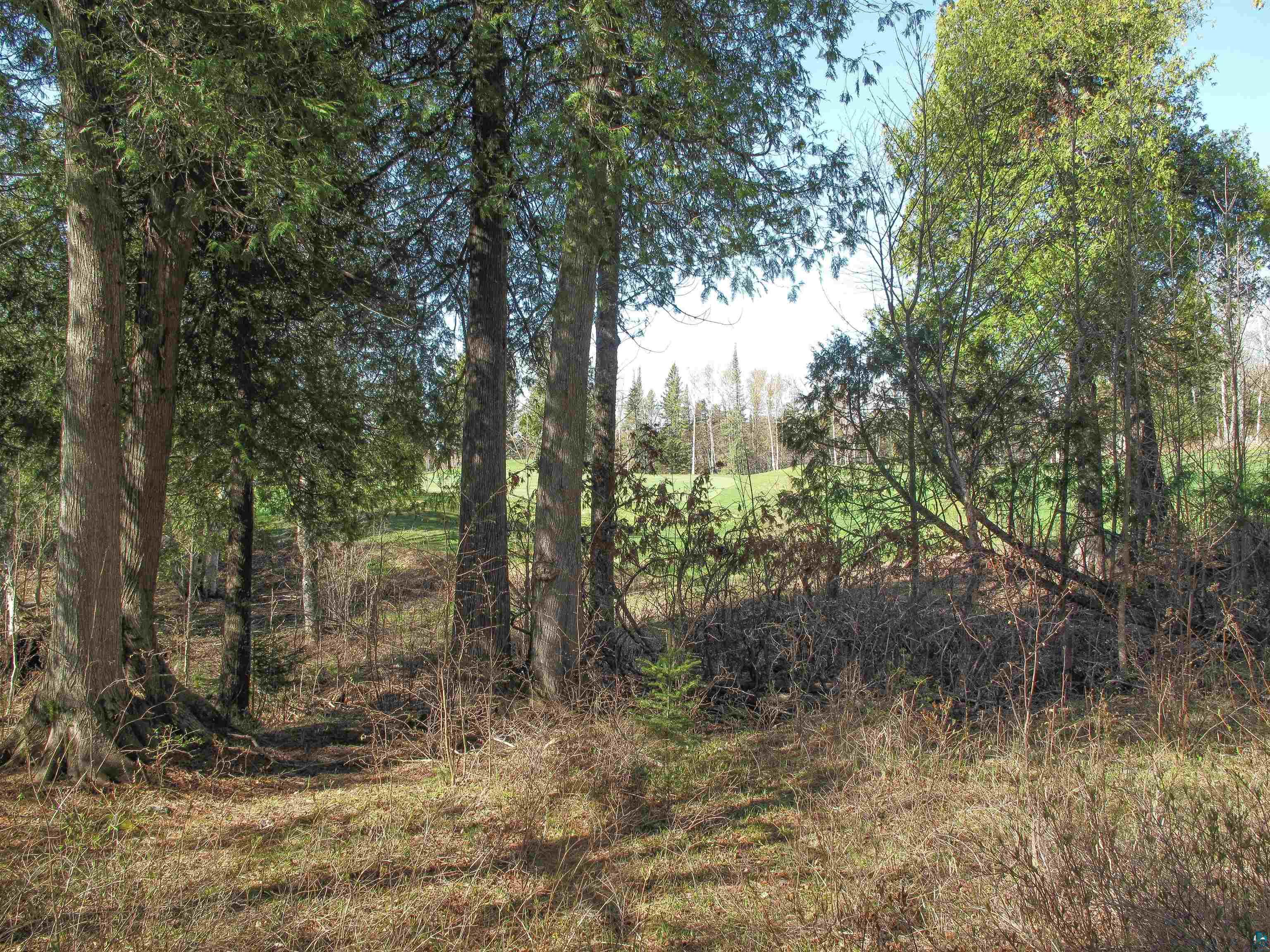 YYY Big Cedar Trl, Lutsen, MN 55612 Listing Photo  13