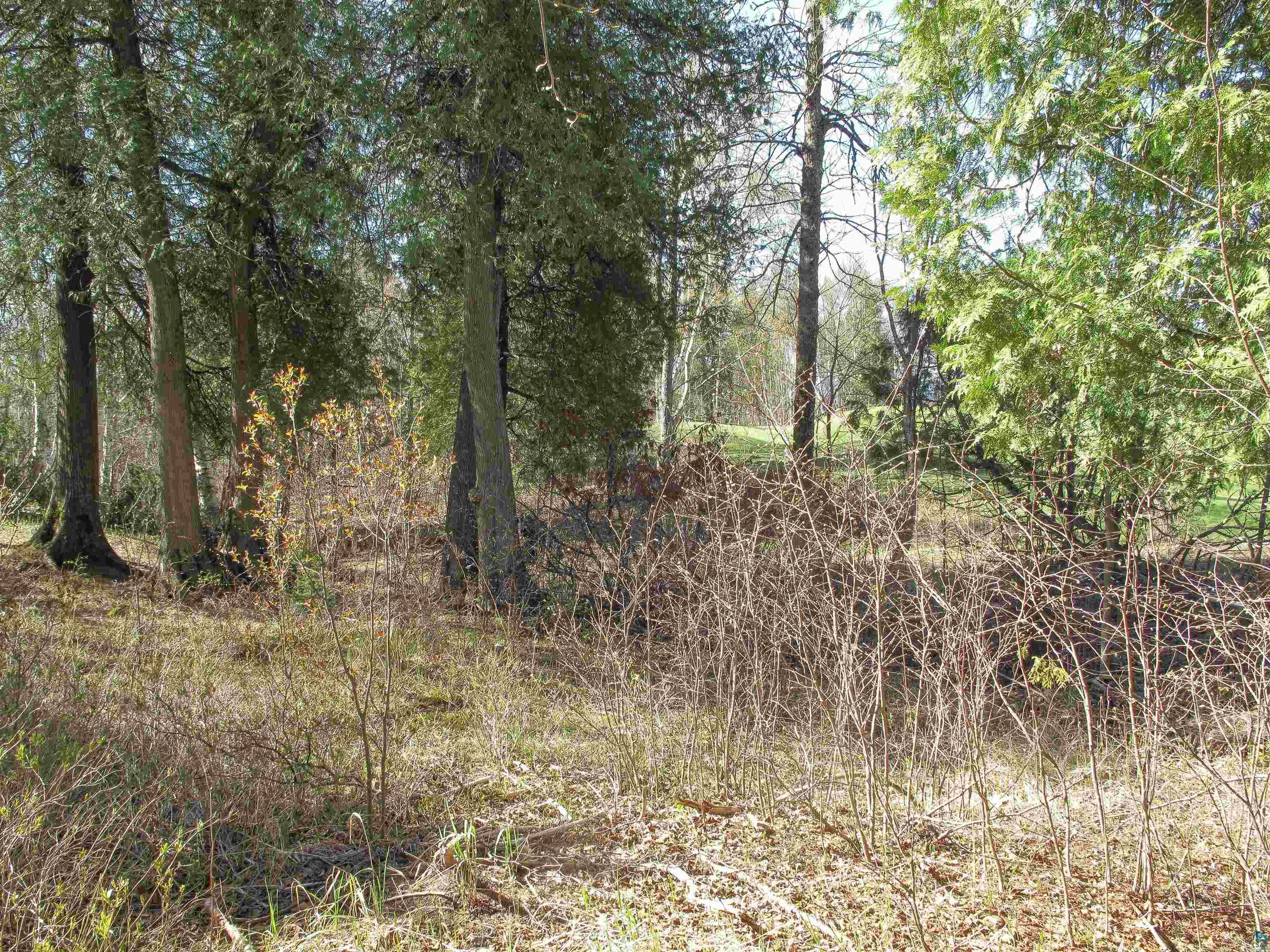 YYY Big Cedar Trl, Lutsen, MN 55612 Listing Photo  15