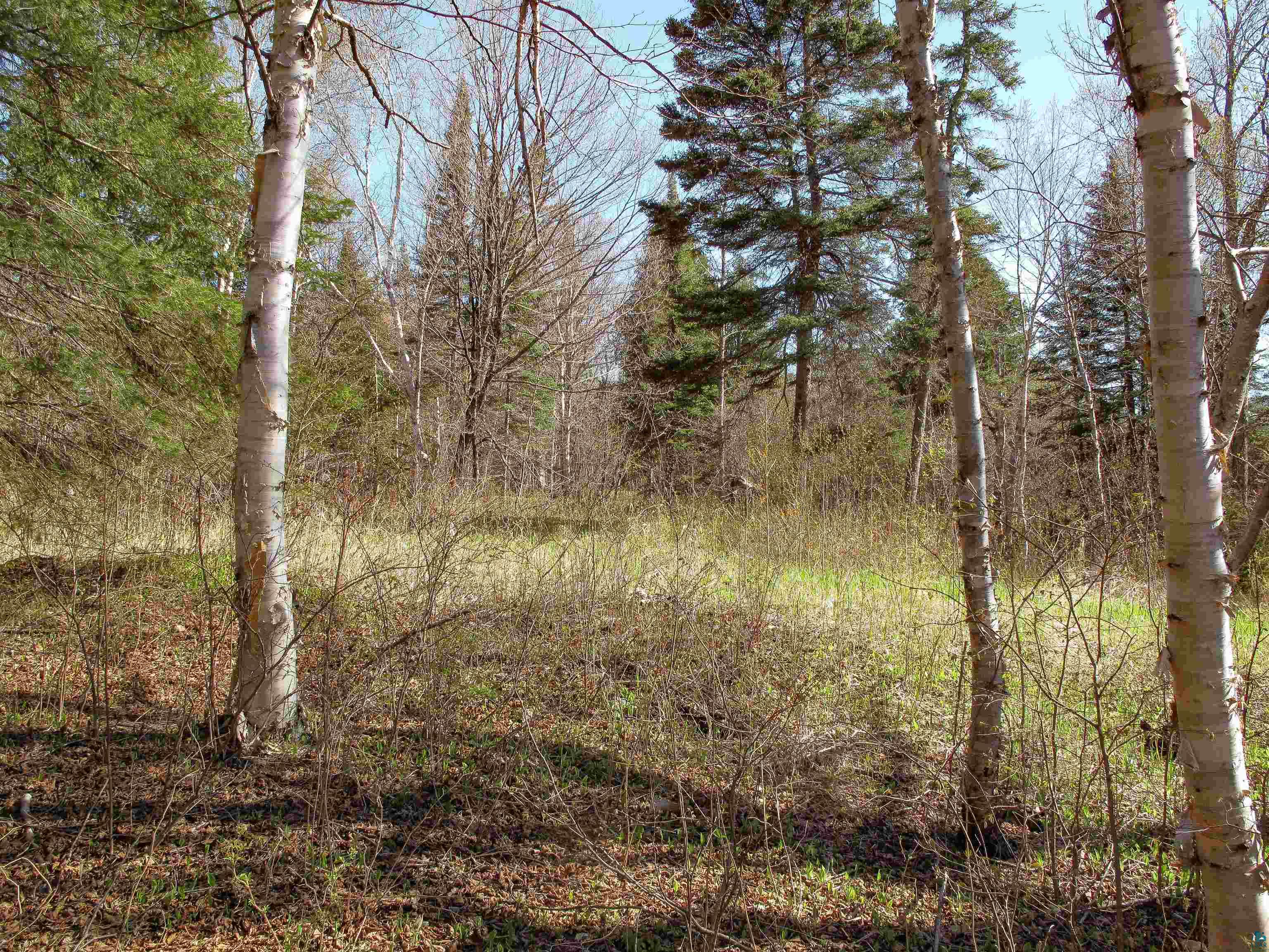 YYY Big Cedar Trl, Lutsen, MN 55612 Listing Photo  21