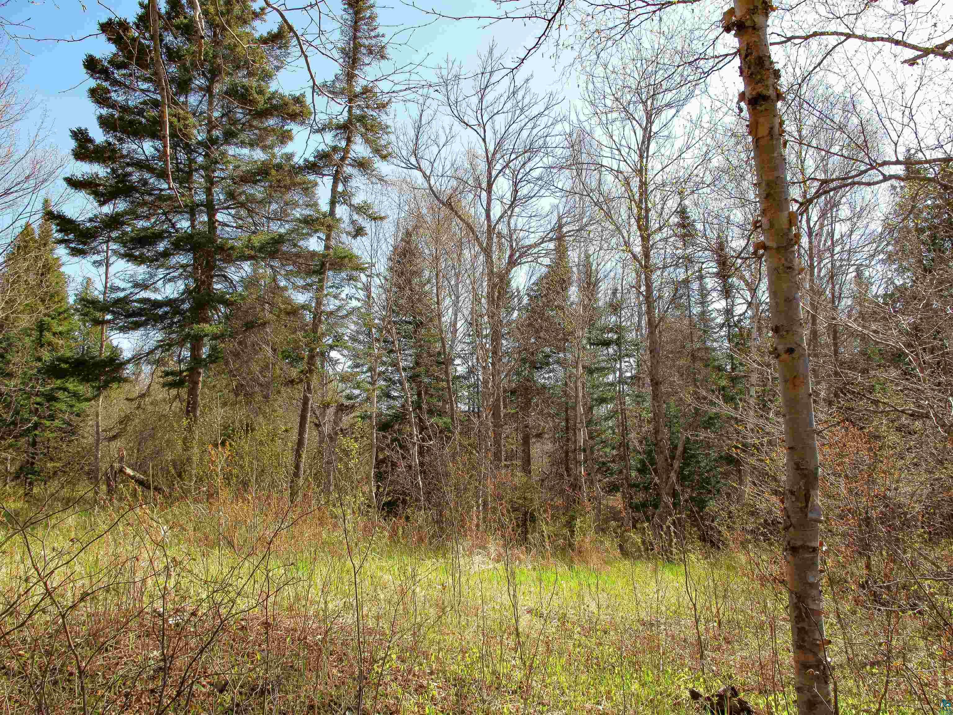 YYY Big Cedar Trl, Lutsen, MN 55612 Listing Photo  22