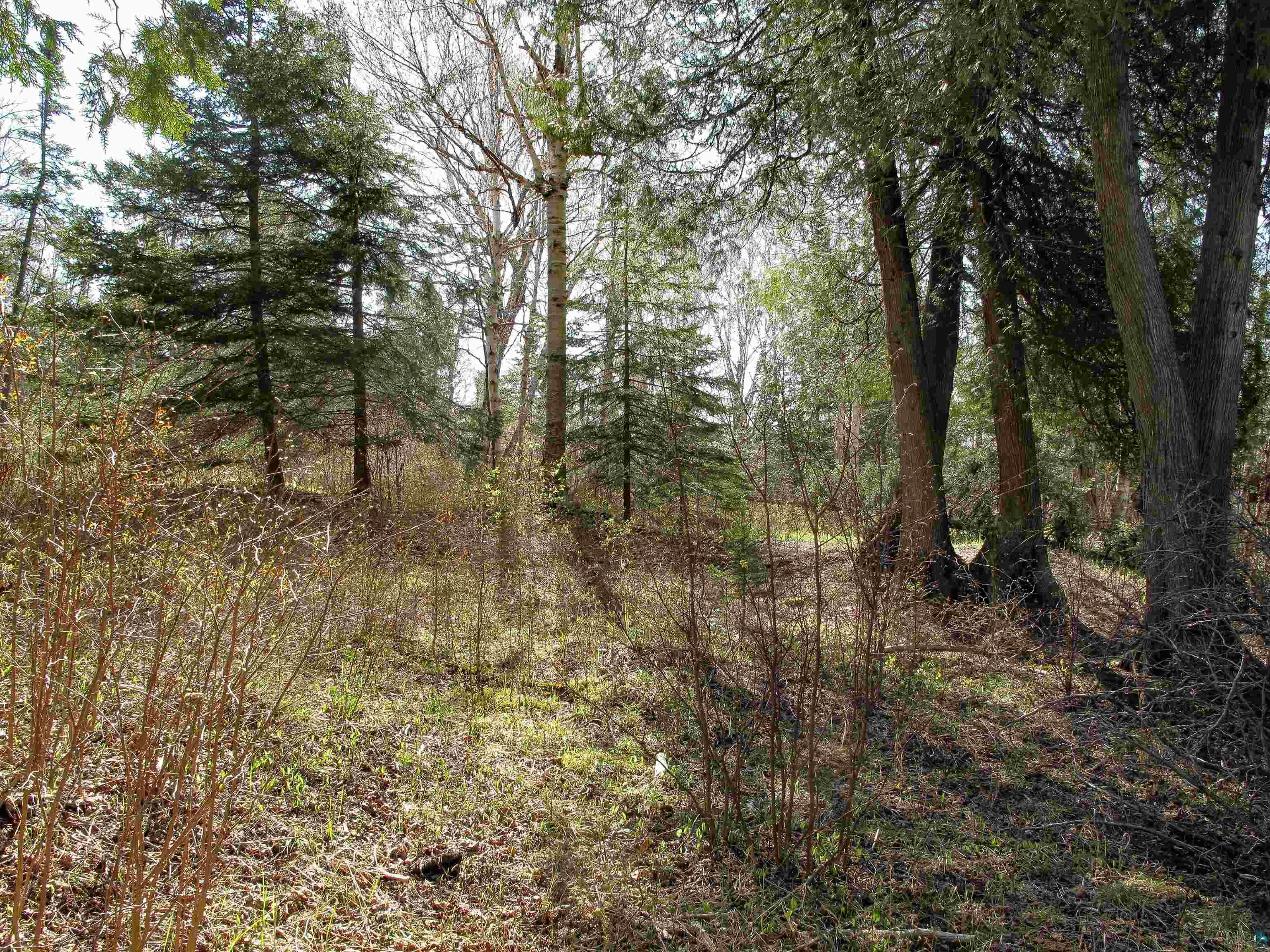 YYY Big Cedar Trl, Lutsen, MN 55612 Listing Photo  30