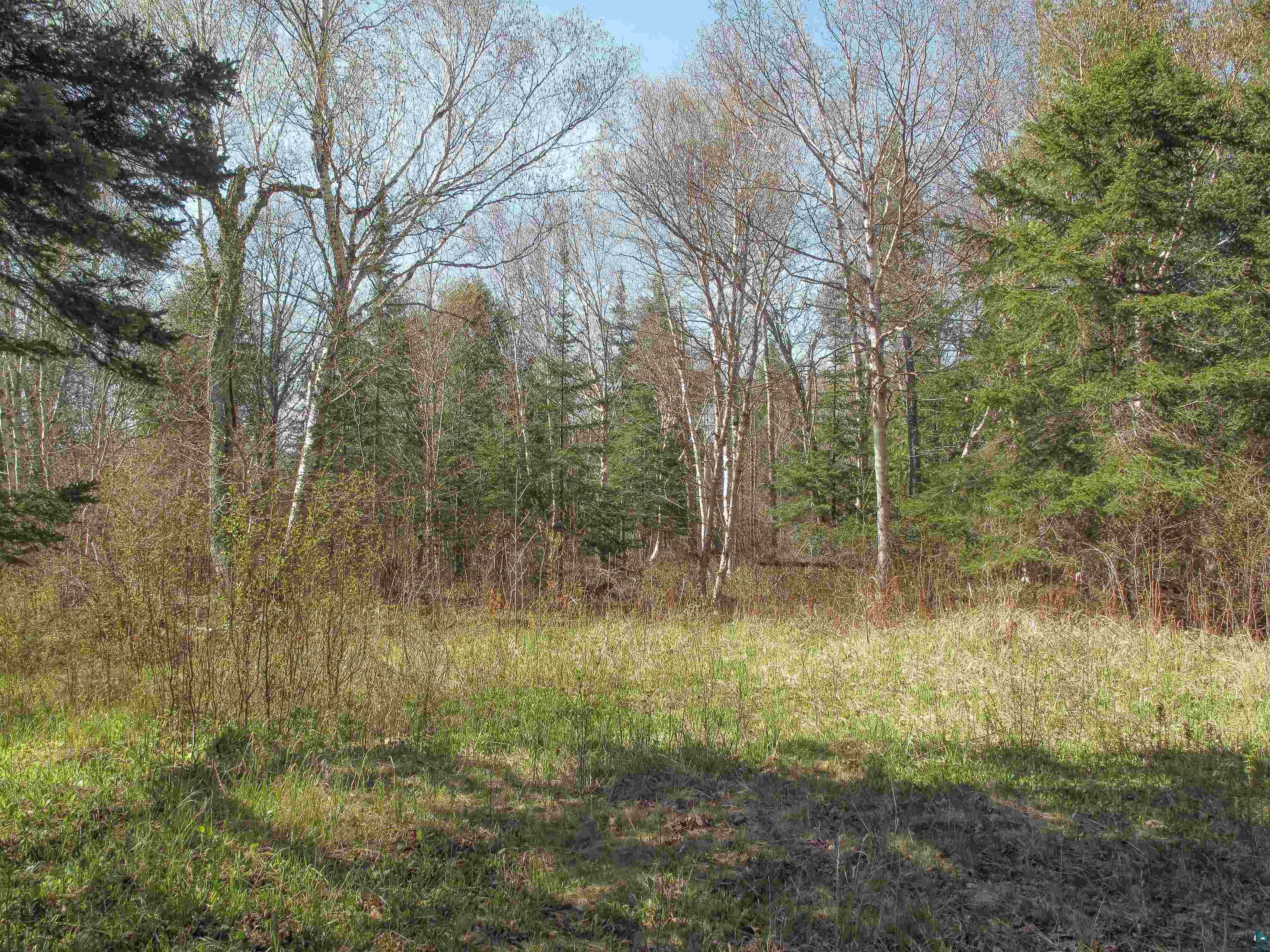 YYY Big Cedar Trl, Lutsen, MN 55612 Listing Photo  4