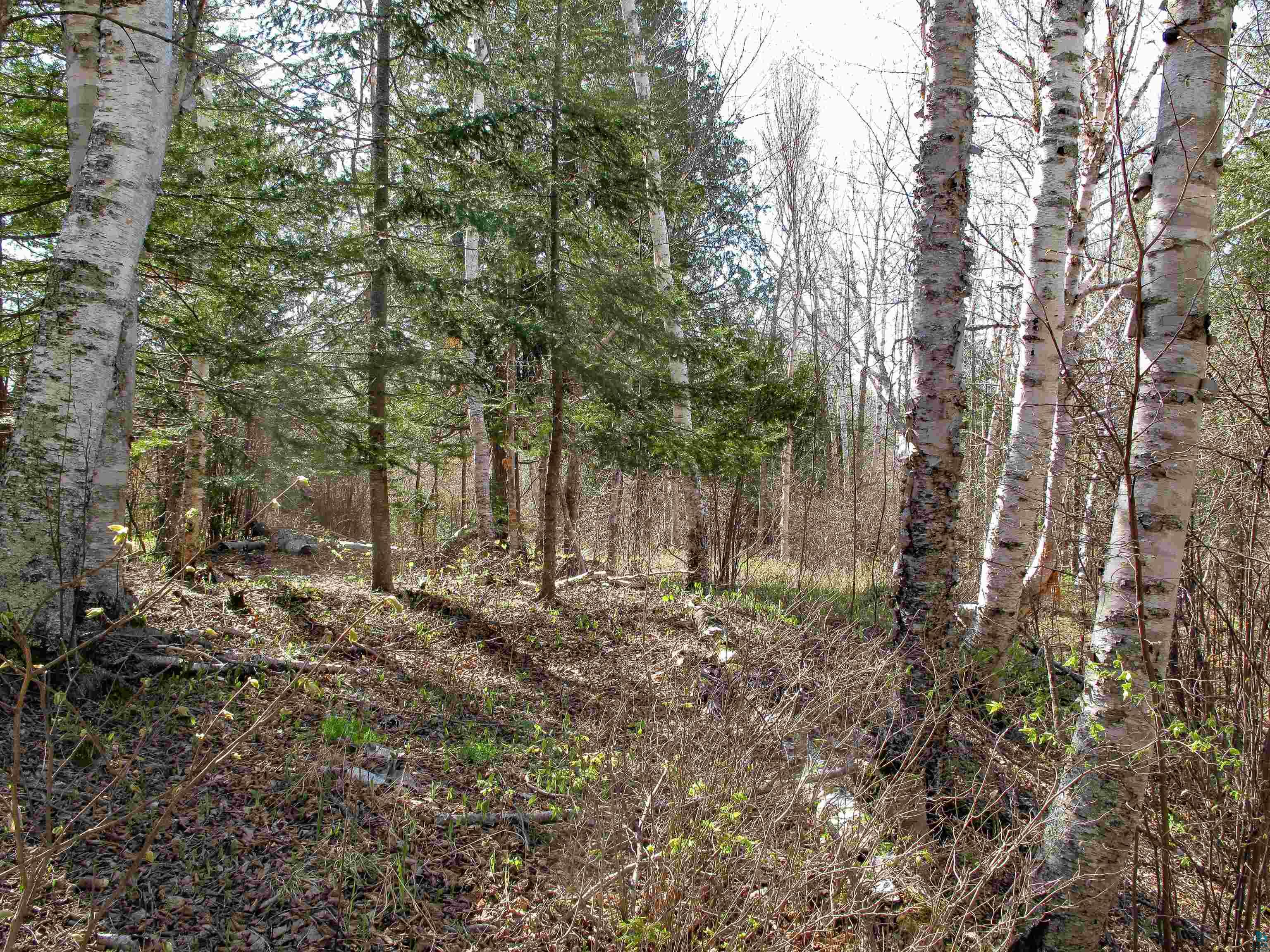 YYY Big Cedar Trl, Lutsen, MN 55612 Listing Photo  31