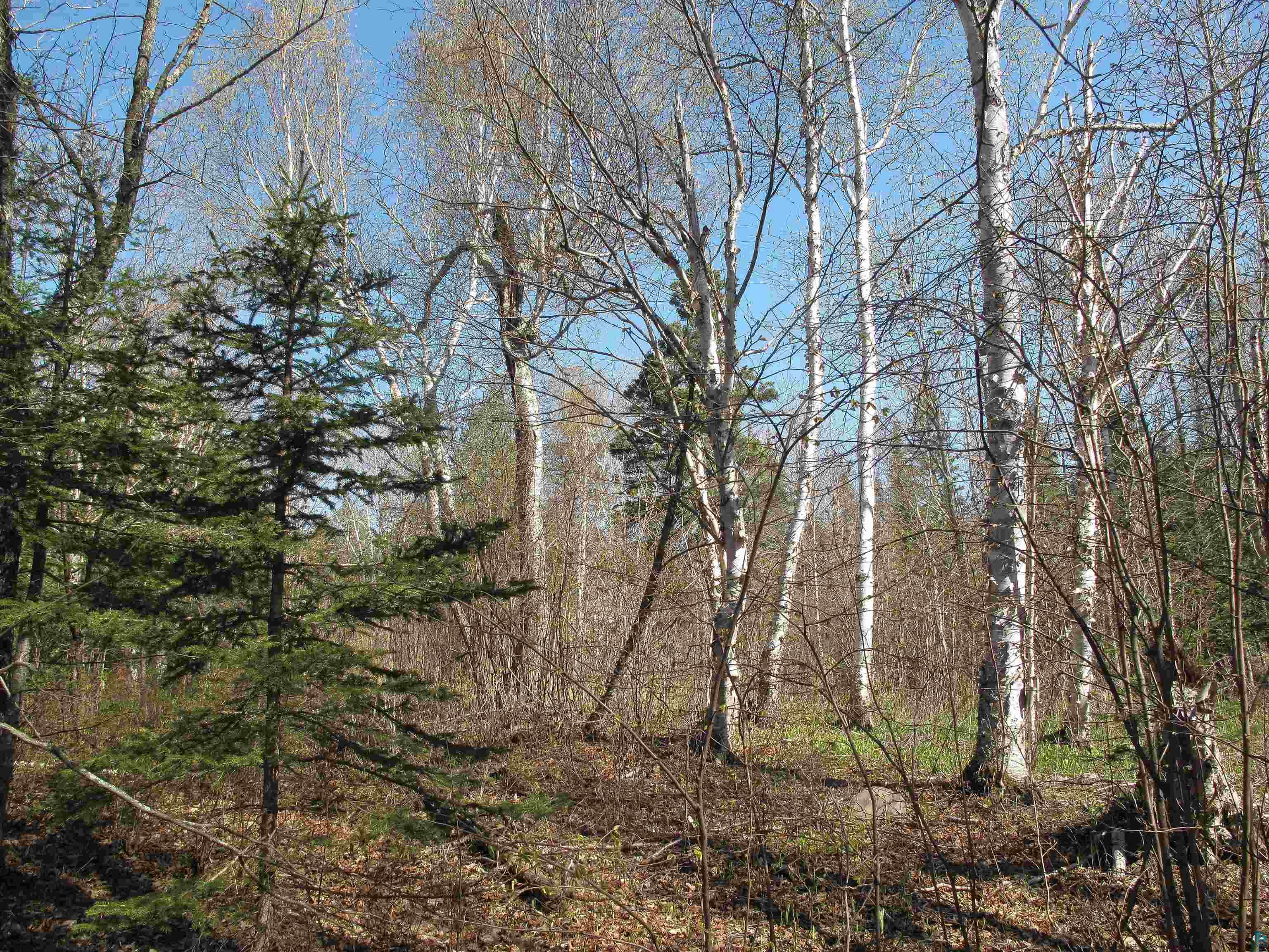 YYY Big Cedar Trl, Lutsen, MN 55612 Listing Photo  33