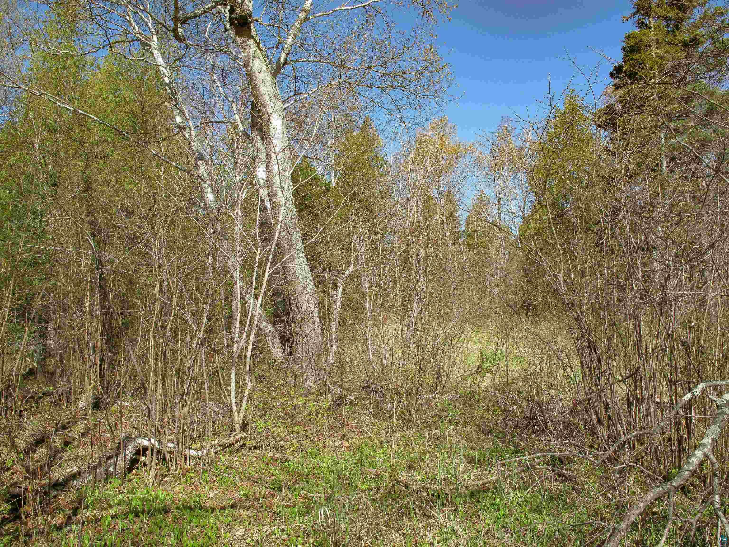 YYY Big Cedar Trl, Lutsen, MN 55612 Listing Photo  35
