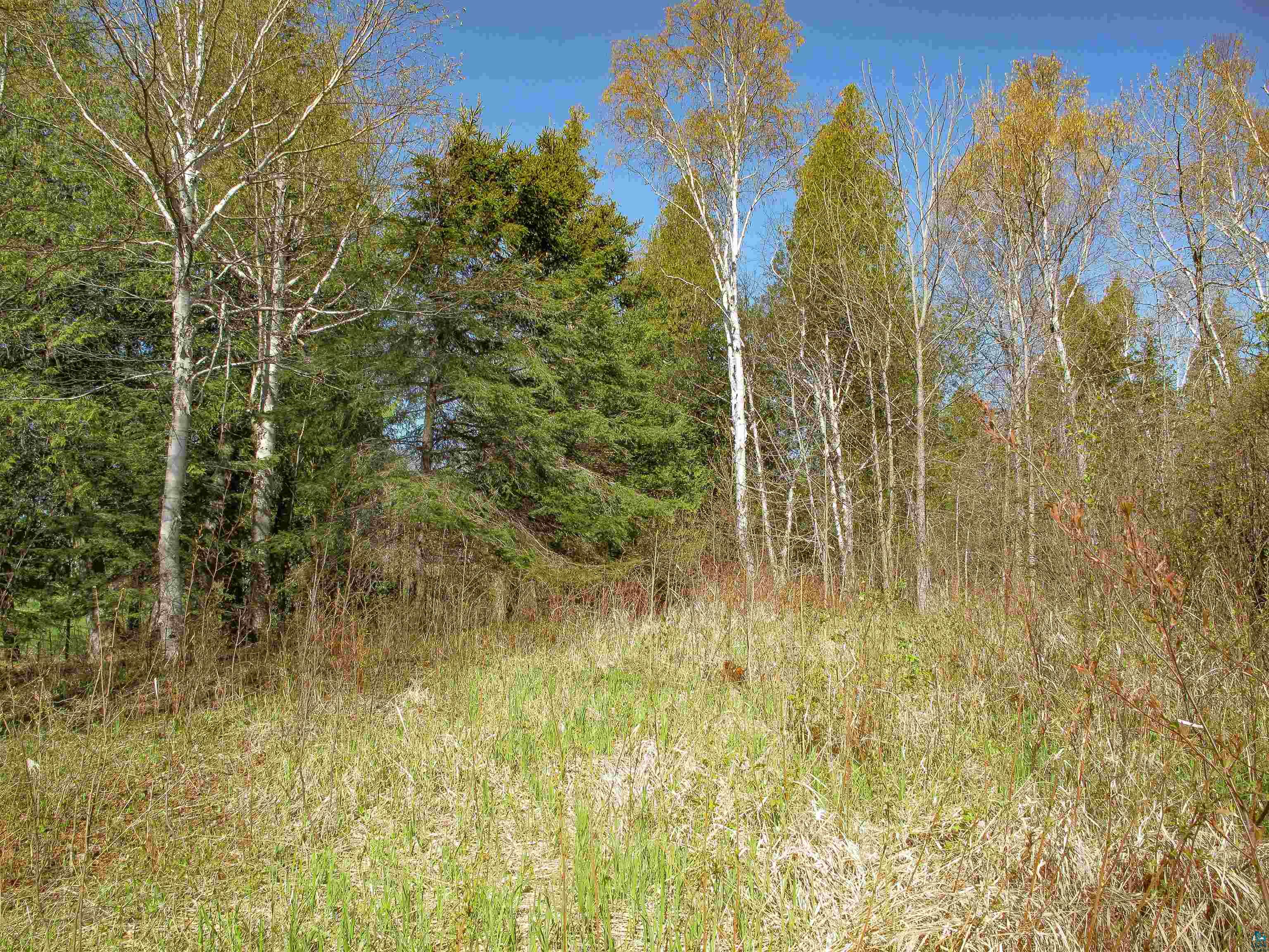 YYY Big Cedar Trl, Lutsen, MN 55612 Listing Photo  37