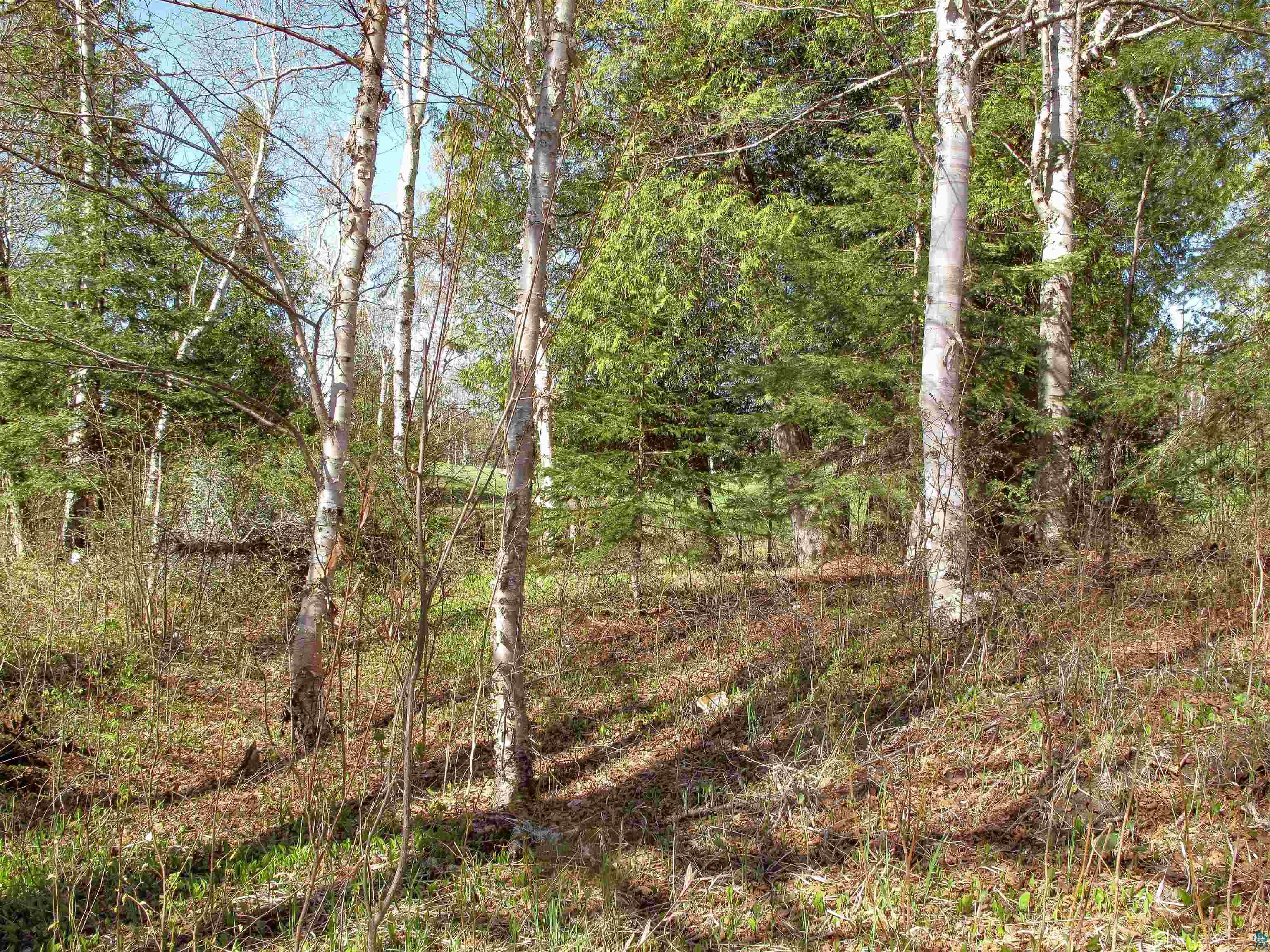 YYY Big Cedar Trl, Lutsen, MN 55612 Listing Photo  38