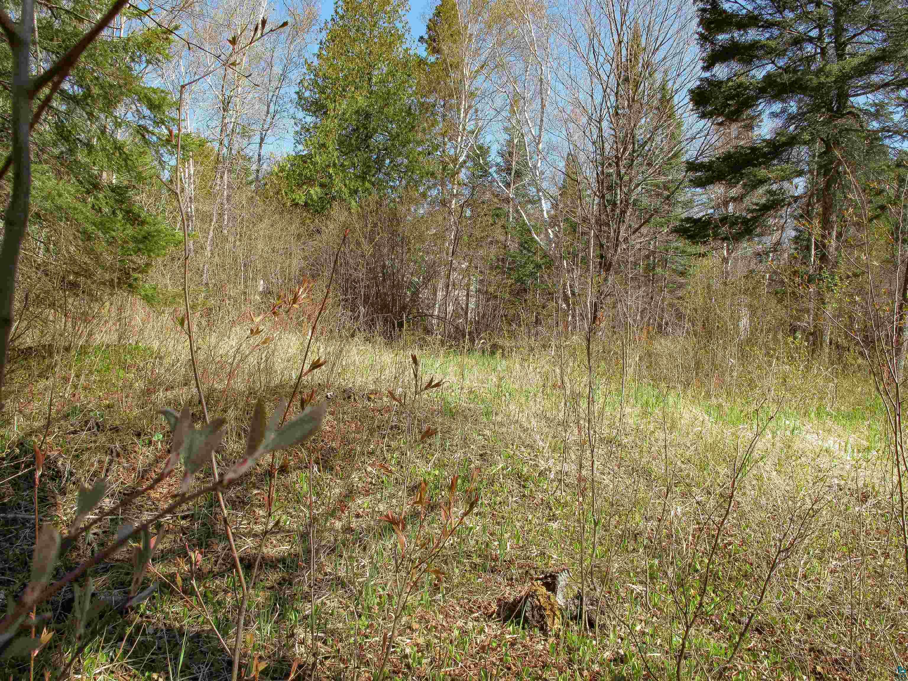 YYY Big Cedar Trl, Lutsen, MN 55612 Listing Photo  39