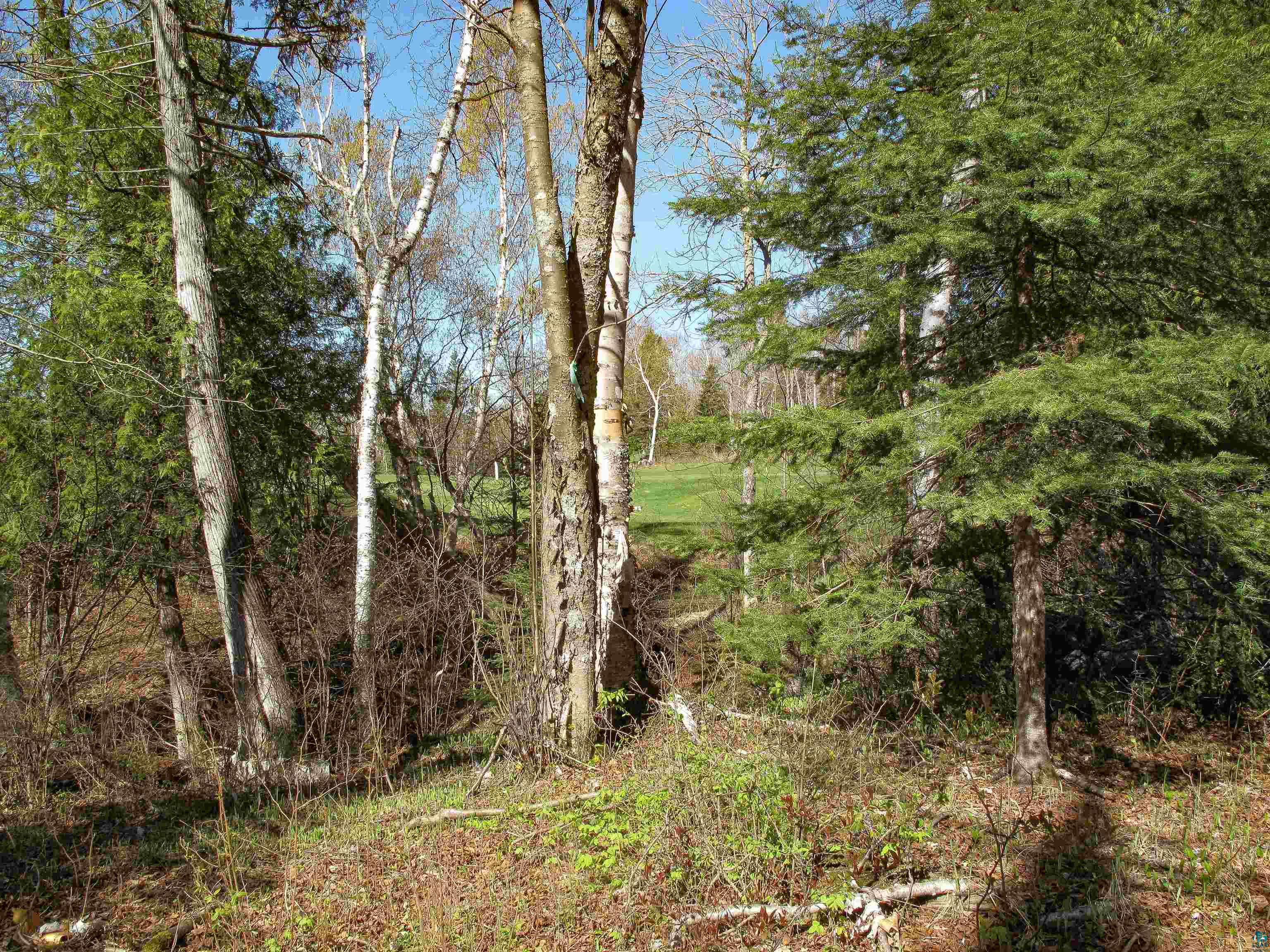 YYY Big Cedar Trl, Lutsen, MN 55612 Listing Photo  40