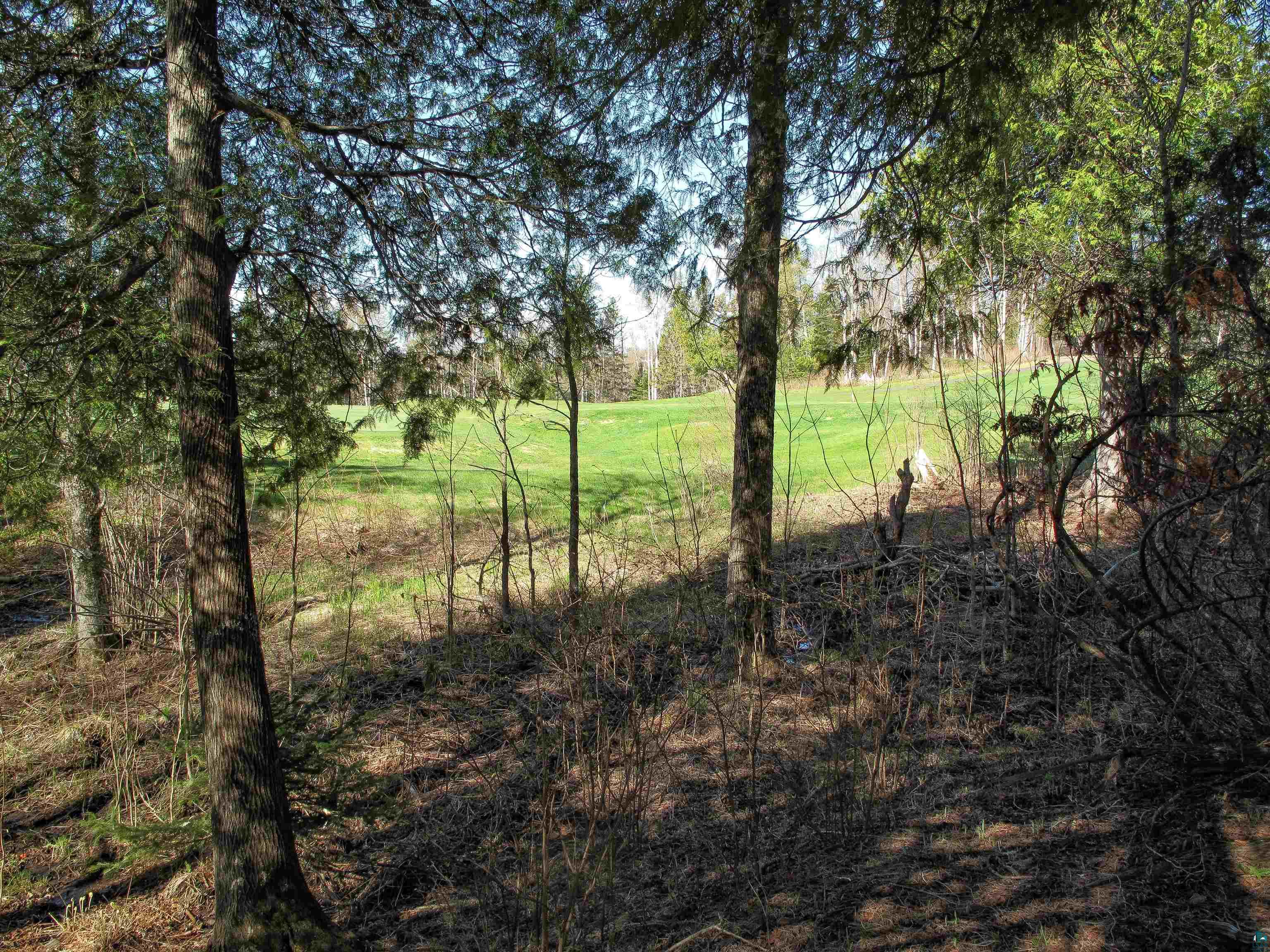 YYY Big Cedar Trl, Lutsen, MN 55612 Listing Photo  5