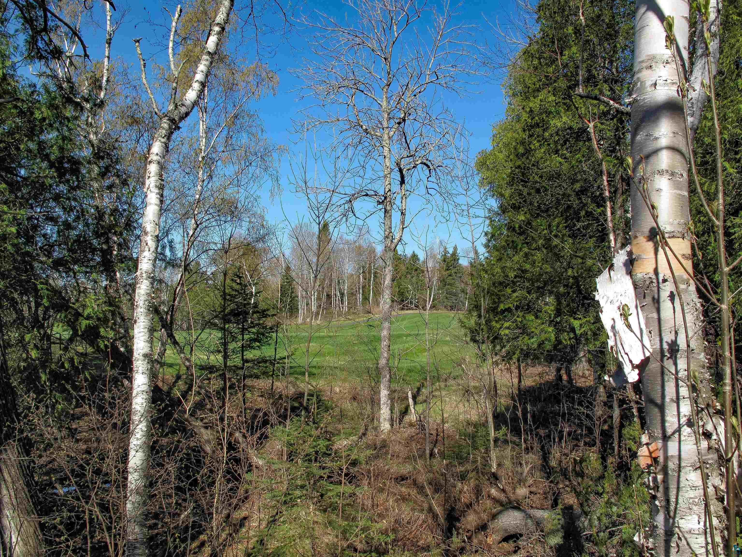 YYY Big Cedar Trl, Lutsen, MN 55612 Listing Photo  41