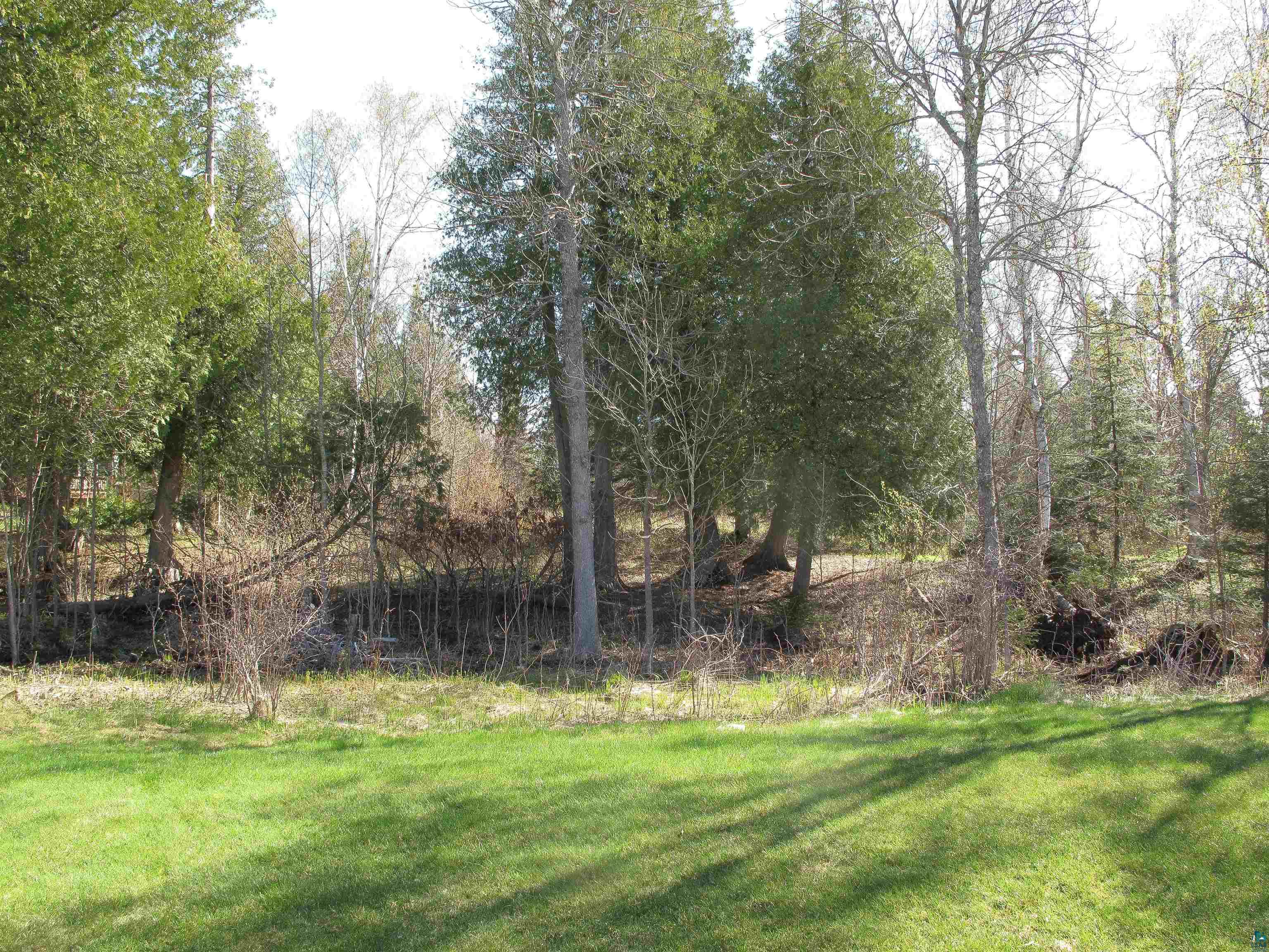 YYY Big Cedar Trl, Lutsen, MN 55612 Listing Photo  6