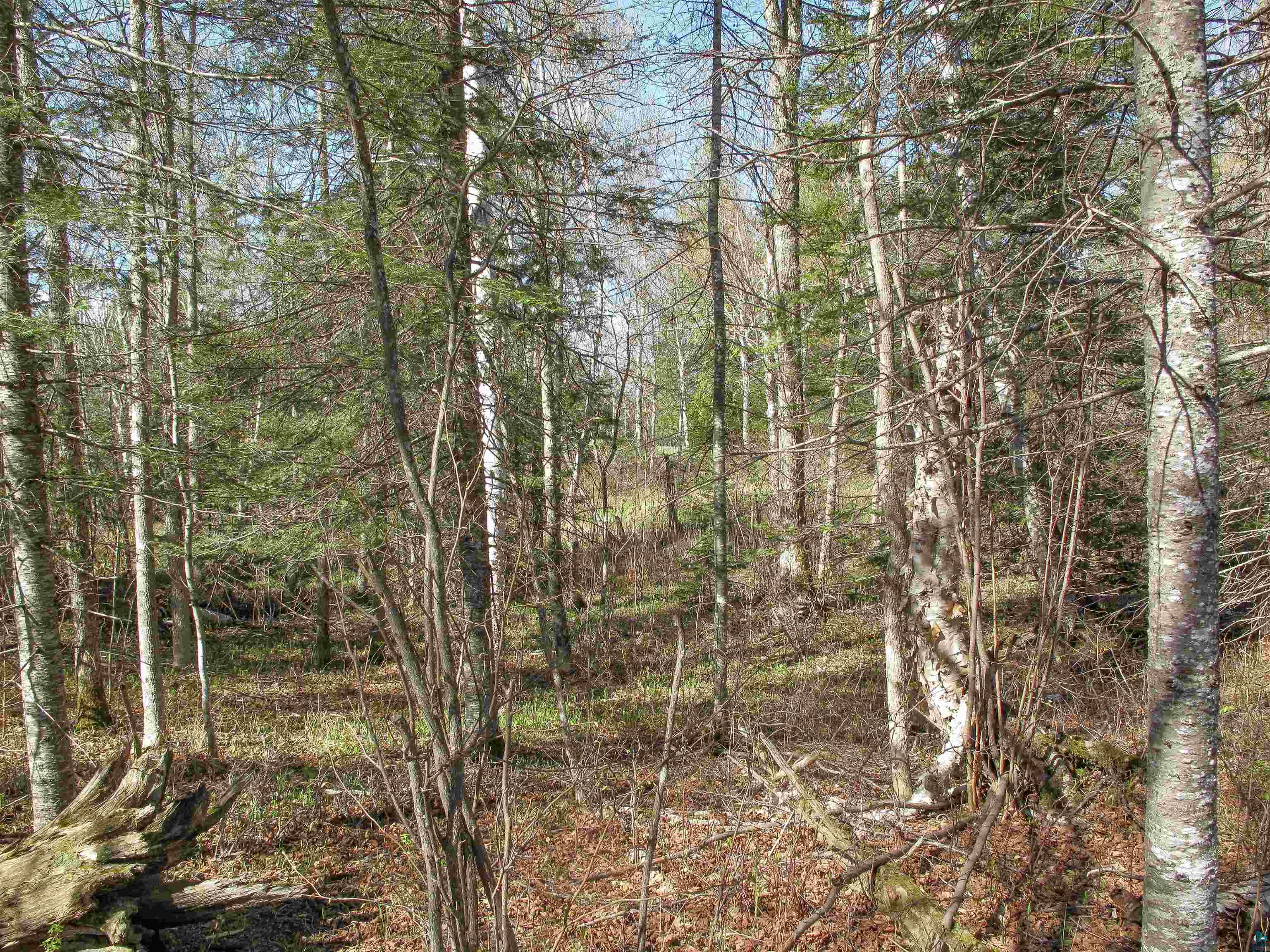 YYY Big Cedar Trl, Lutsen, MN 55612 Listing Photo  52