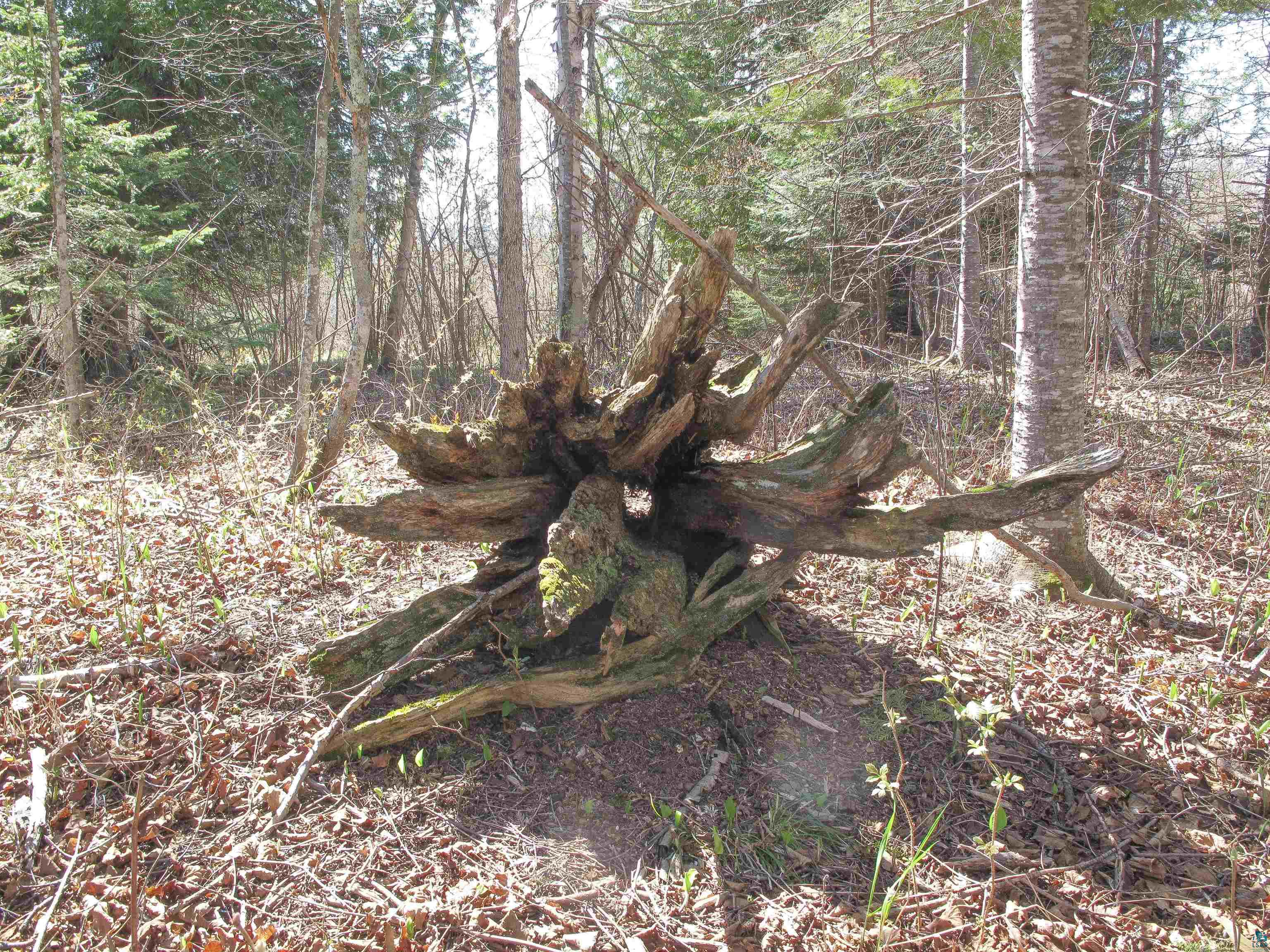 YYY Big Cedar Trl, Lutsen, MN 55612 Listing Photo  53