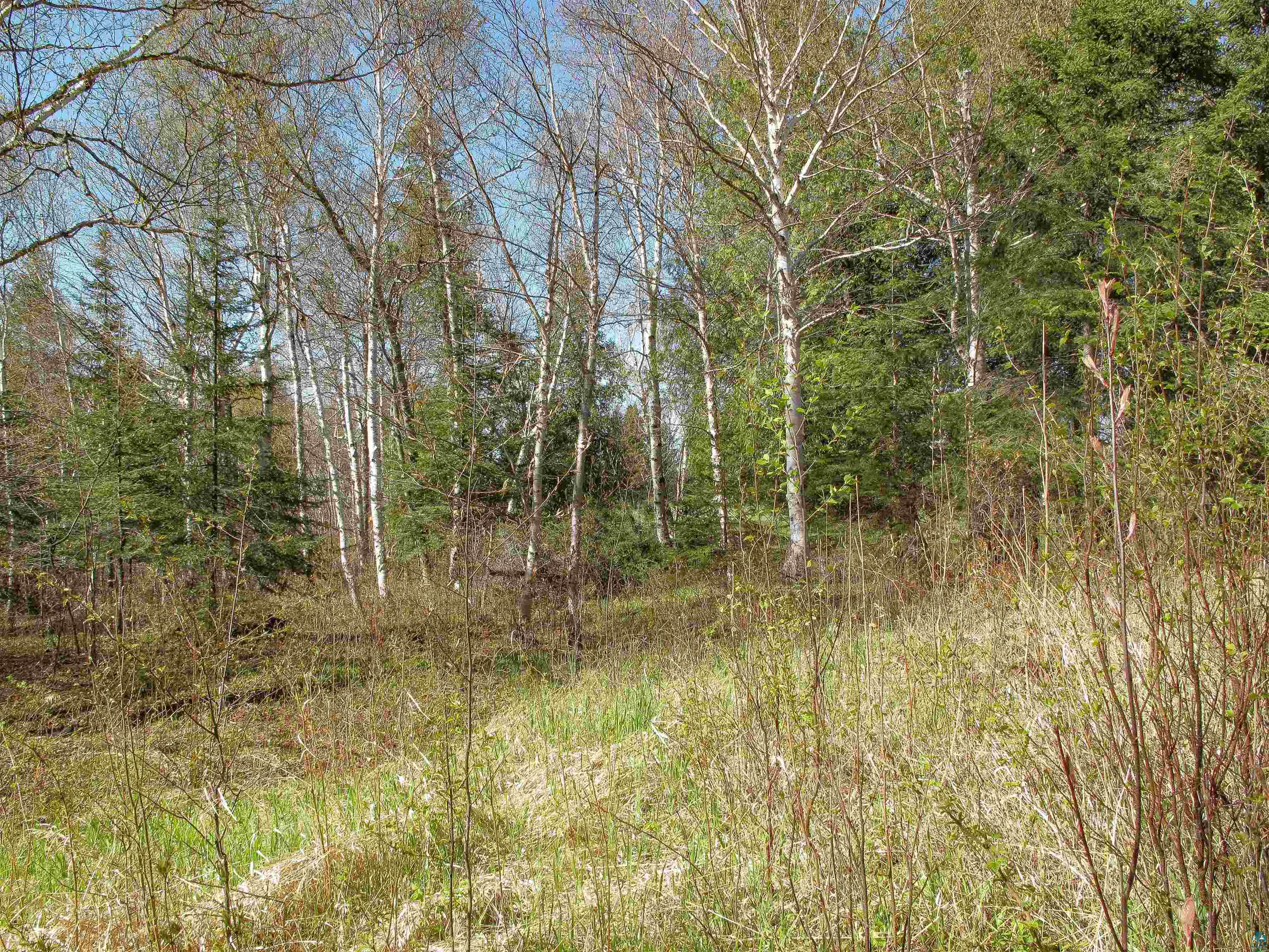 YYY Big Cedar Trl, Lutsen, MN 55612 Listing Photo  55