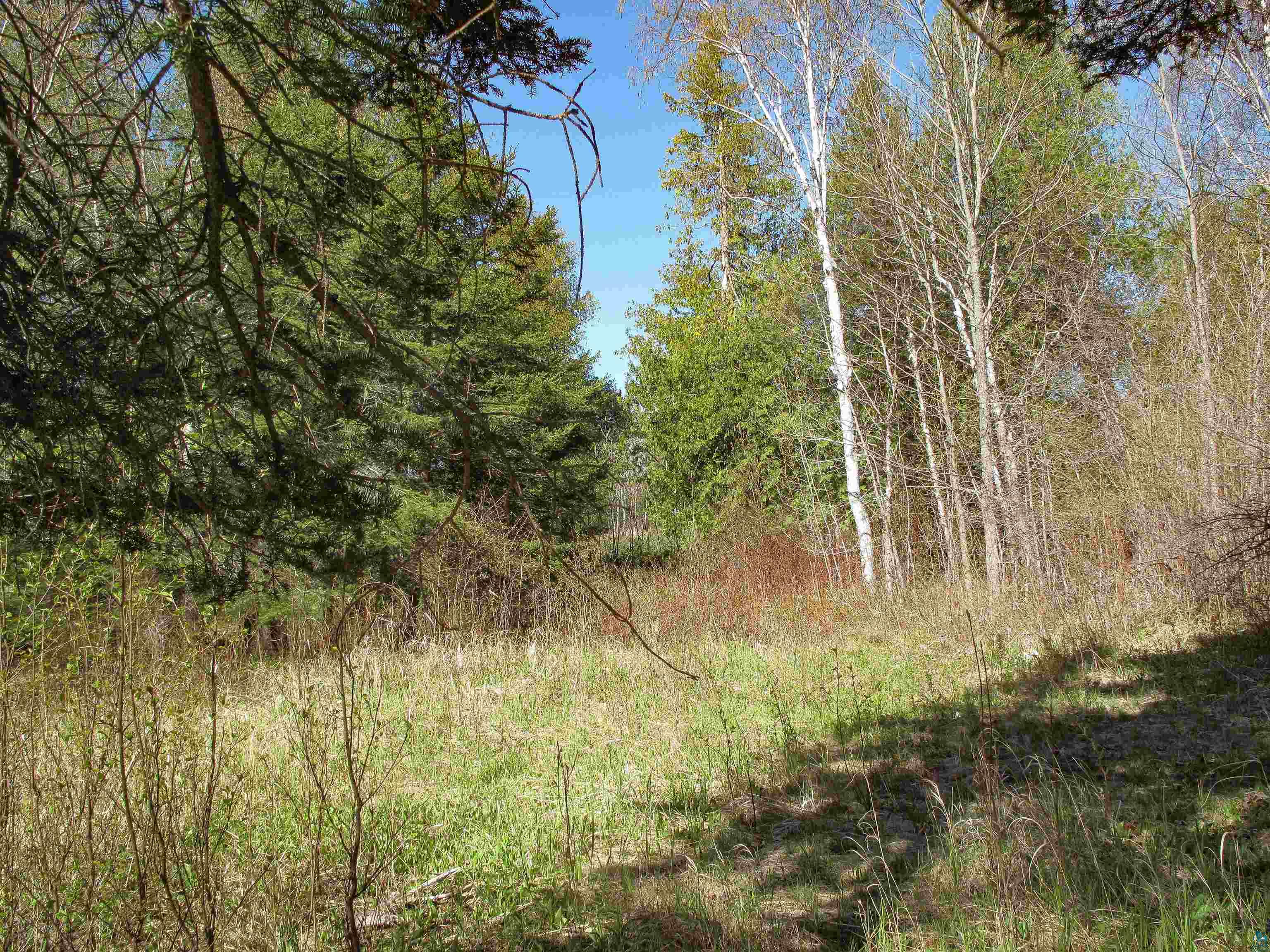 YYY Big Cedar Trl, Lutsen, MN 55612 Listing Photo  56